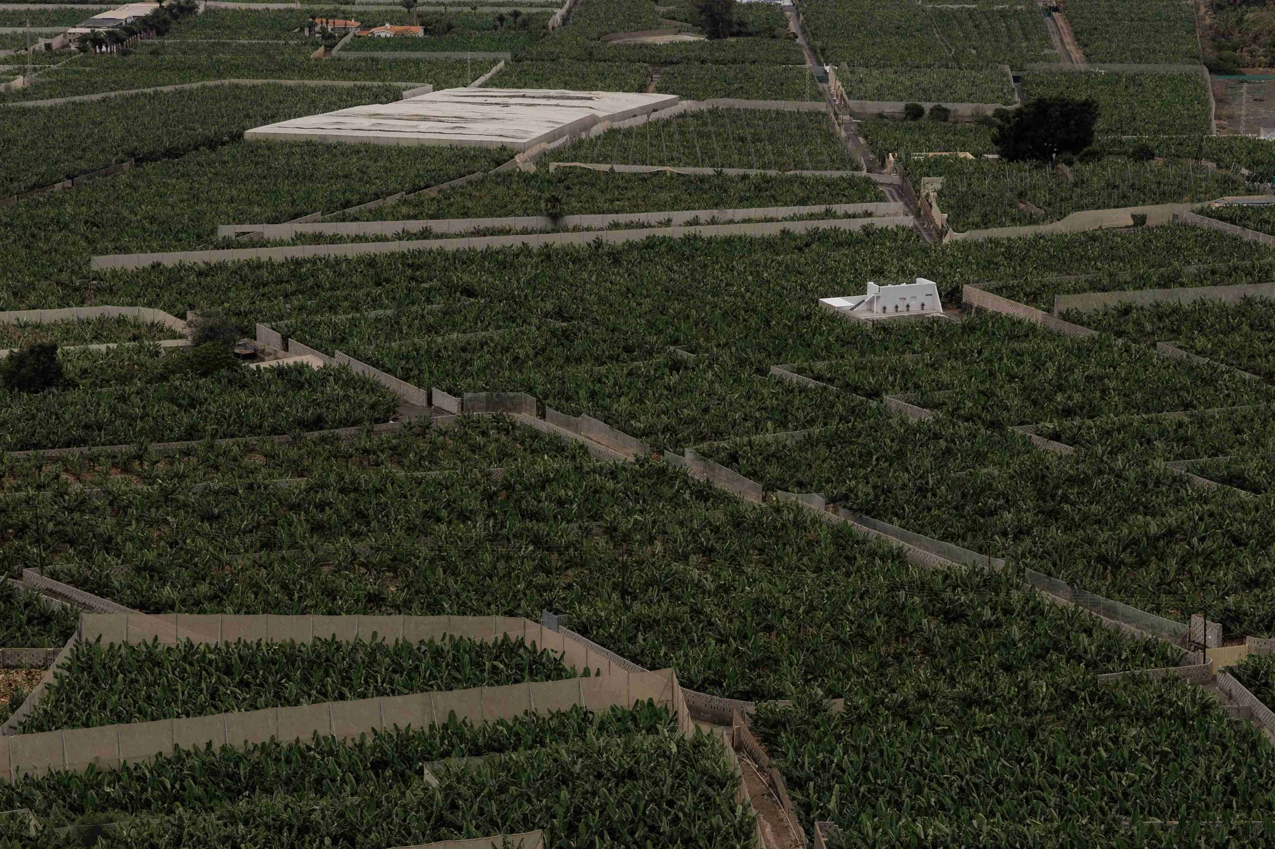 K&O- Licandro Weddings - Tenerife Wedding Planners - Wedding in Tenerife - Finca Wedding Tenerife - Private Venue Tenerife-35.jpg