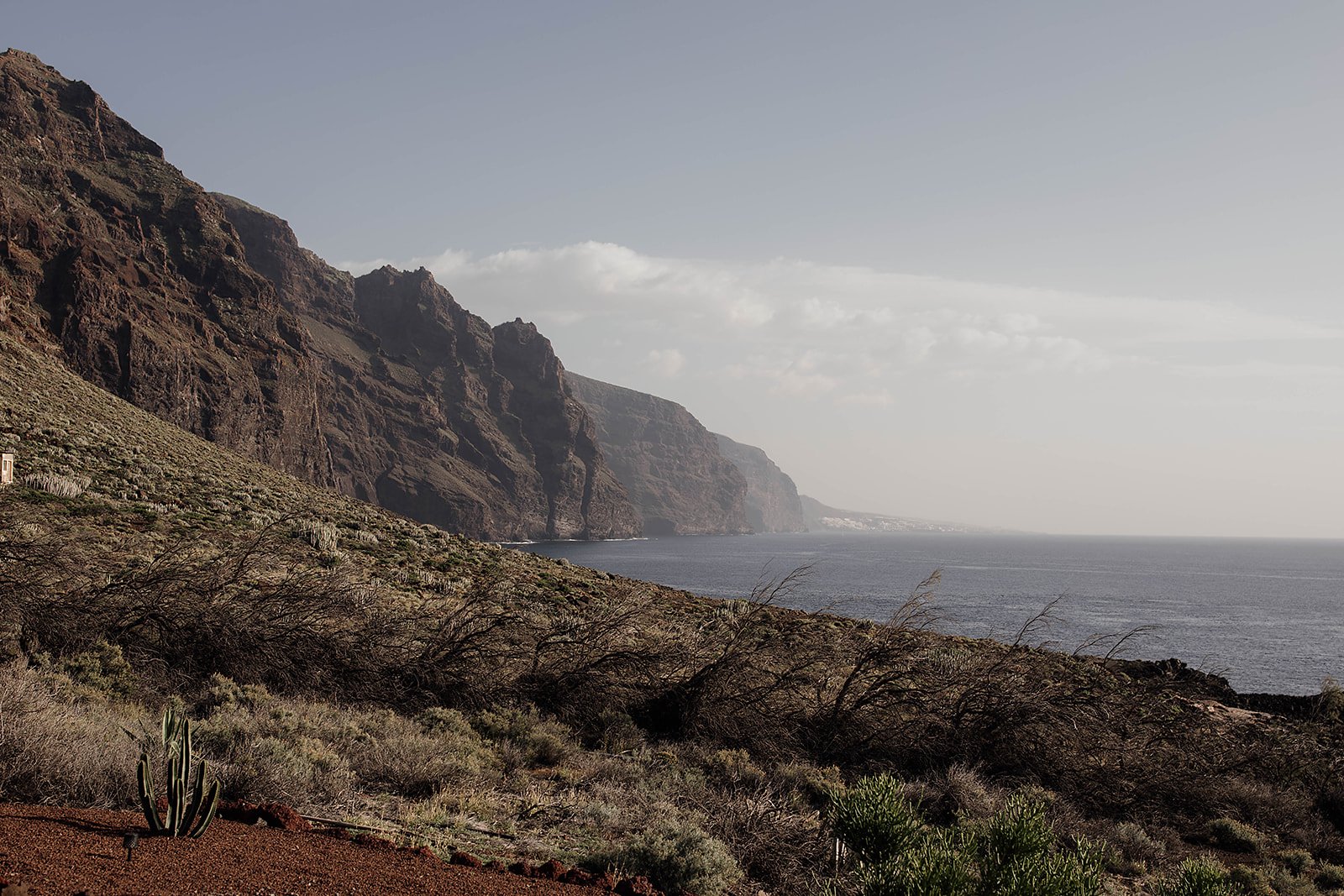 Punta de Teno - Wedding in Tenerife - Wedding in Tenerife - Licandro Weddings - Tenerife Wedding Planners - Finca Wedding-16_websize.jpg