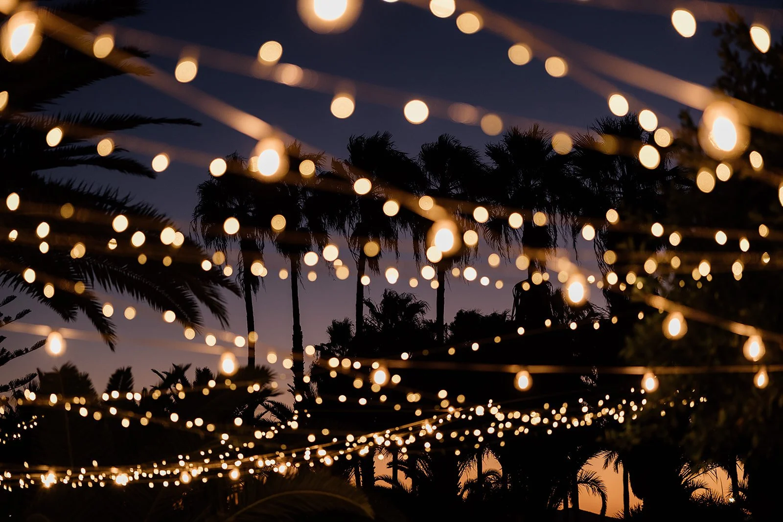 B&E- Wedding in Tenerife - Licandro Weddings - Tenerife Wedding Planner - Finca Wedding - Tenerife Wedding Photographer - Weddings in Tenerife - Bespoke Wedding in Tenerife-393_websize.jpg