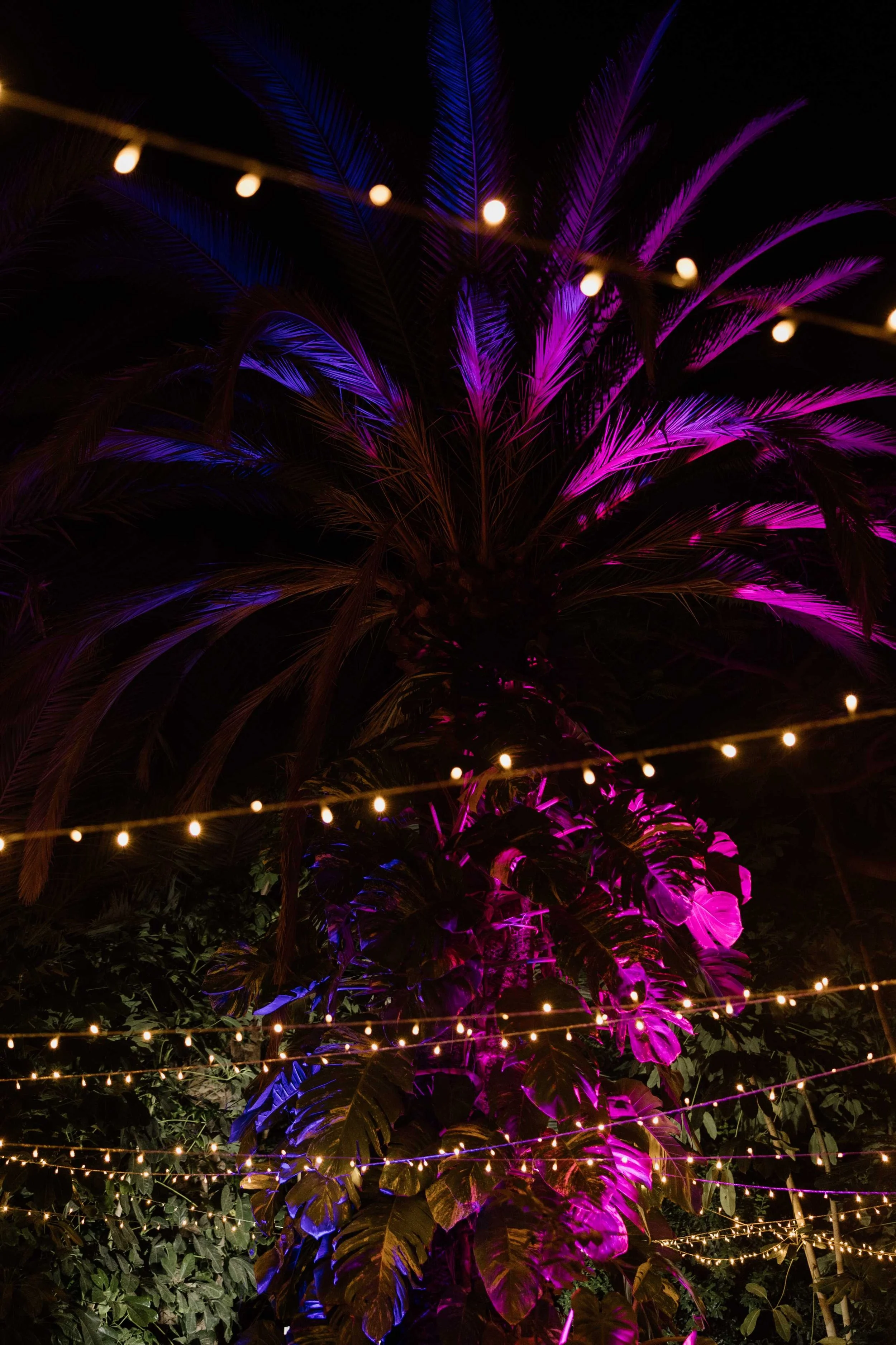 P&I- Wedding in Tenerife - Licandro Weddings - Tenerife Wedding Planner - Finca Wedding - Tenerife Wedding Photographer - Weddings in Tenerife - Bespoke Wedding in Tenerife-750.jpg