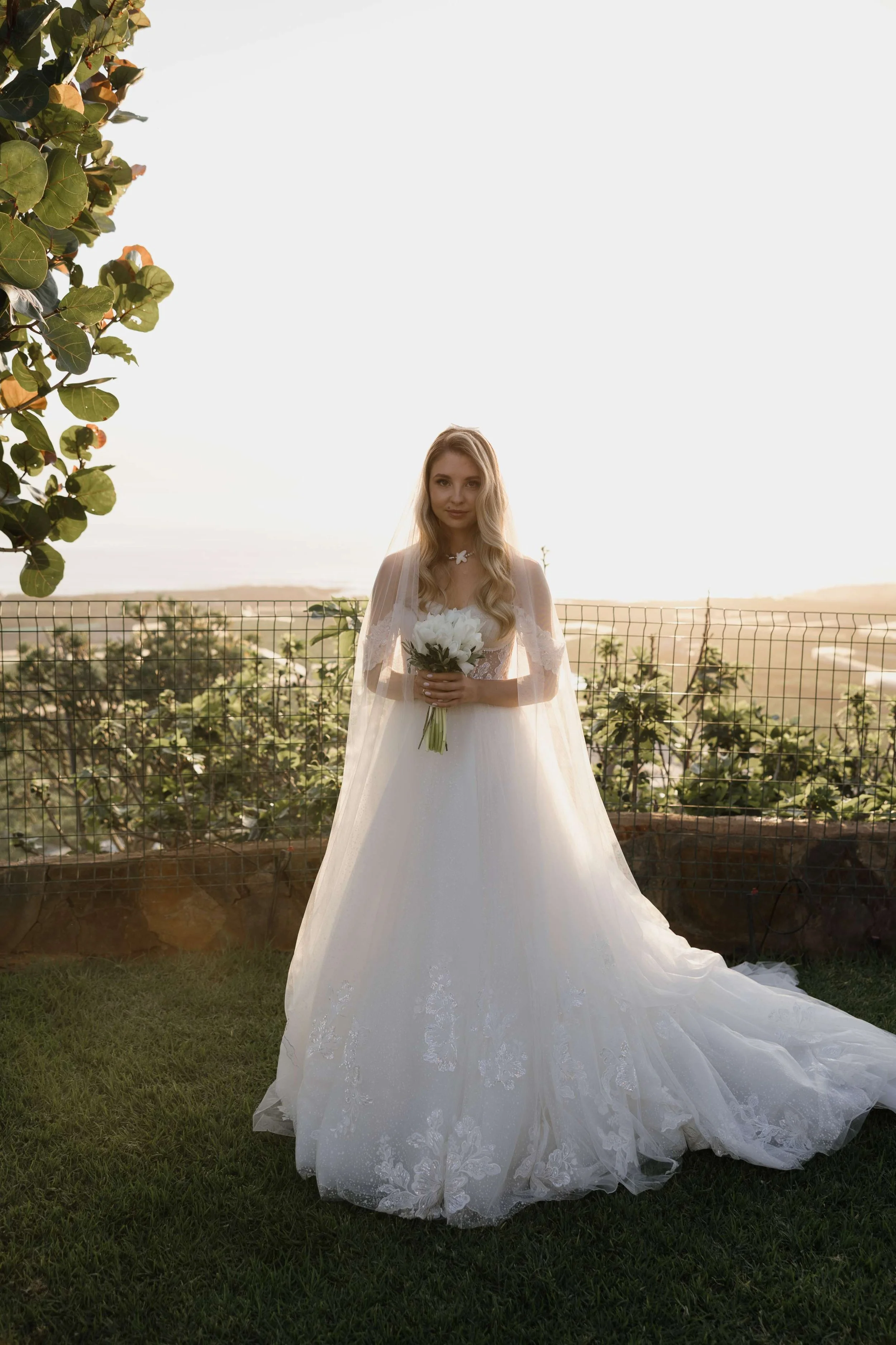 Y&T - Licandro Weddings - Tenerife Wedding Planners - Wedding in Tenerife - Finca Wedding Tenerife - Private Venue Tenerife-587.jpg