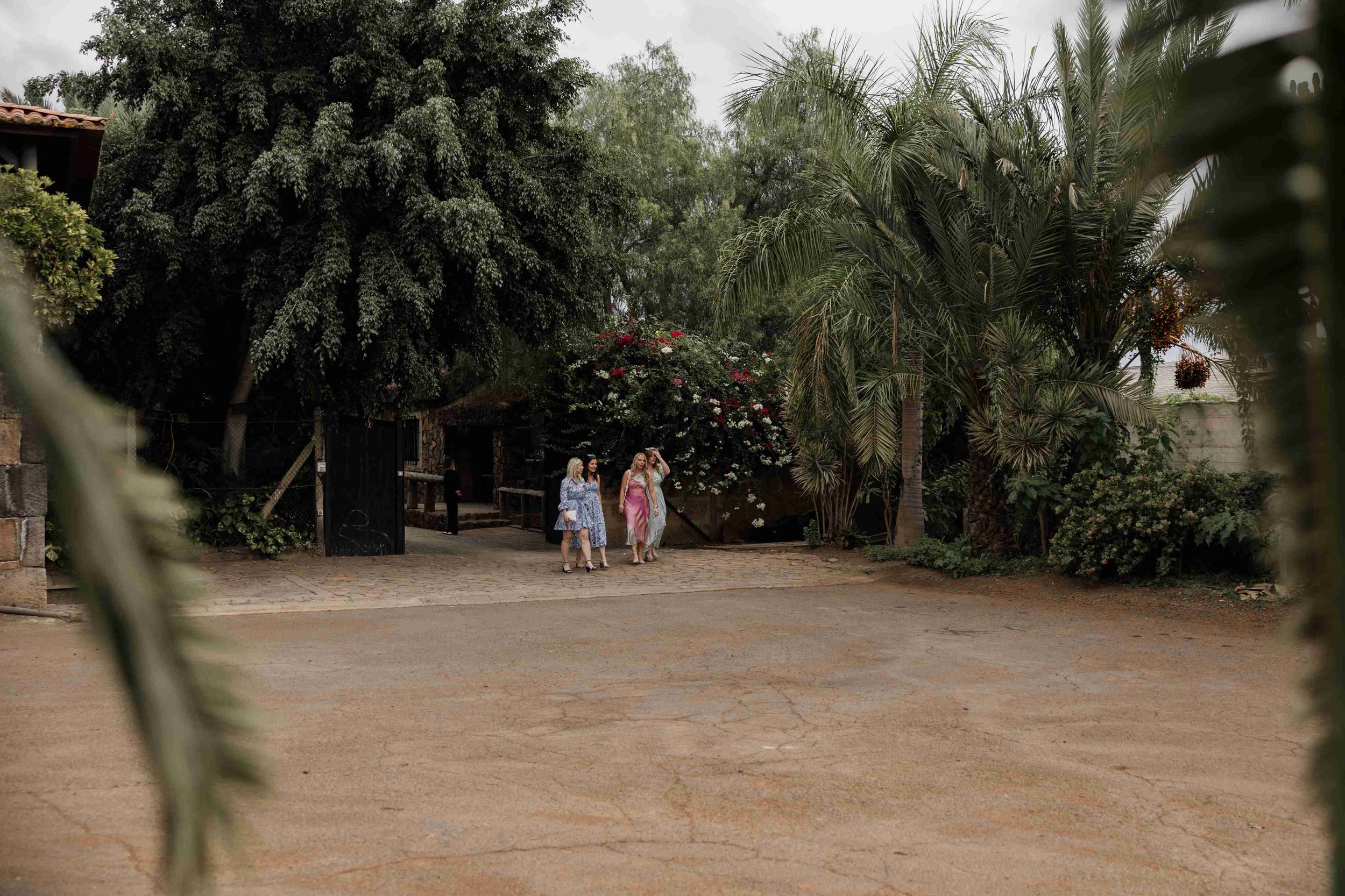 H&J- Wedding in Tenerife - Licandro Weddings - Tenerife Wedding Planner - Finca Wedding - Tenerife Wedding Photographer - Weddings in Tenerife - Bespoke Wedding in Tenerife-260.jpg