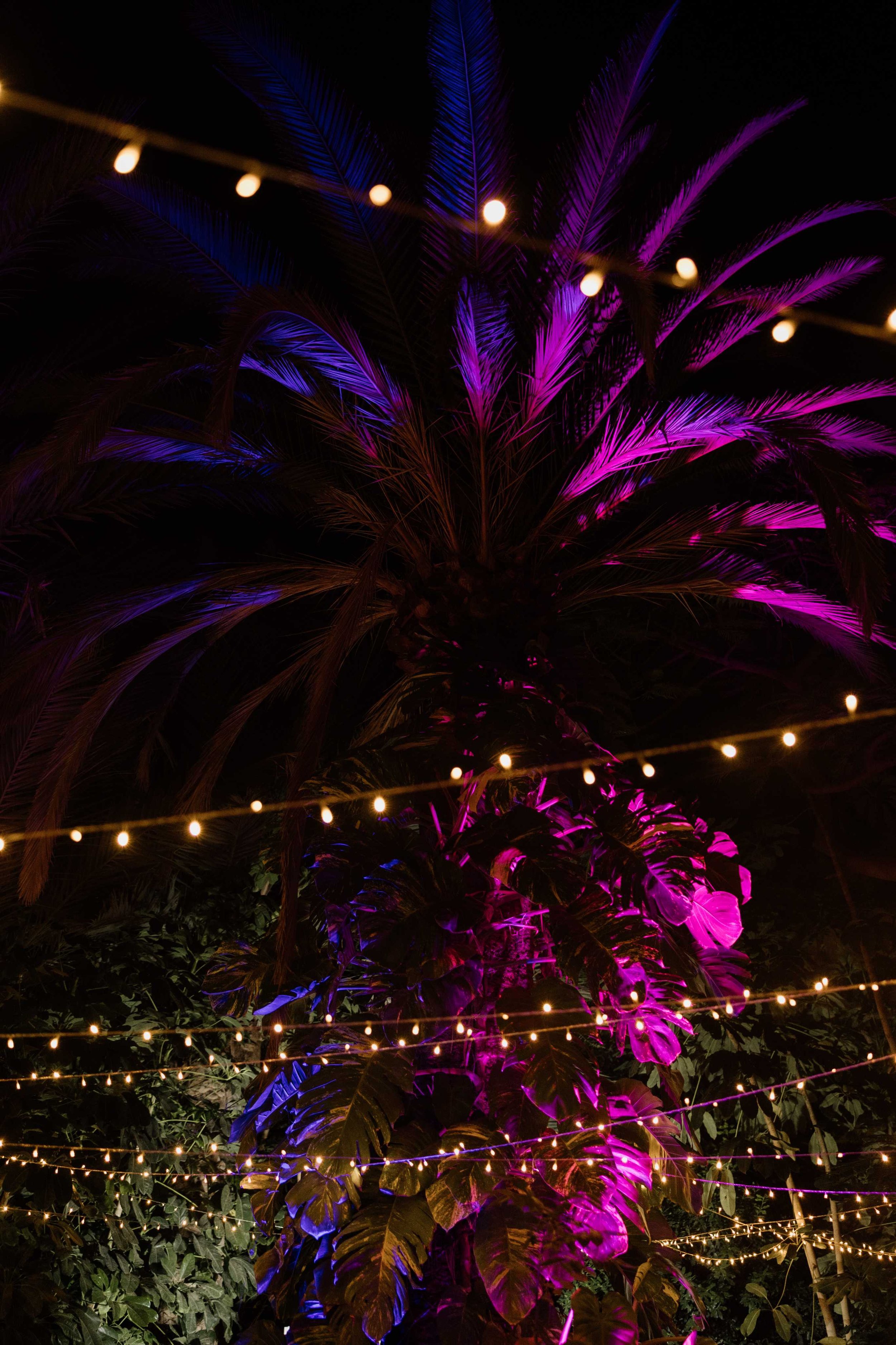 P&I- Wedding in Tenerife - Licandro Weddings - Tenerife Wedding Planner - Finca Wedding - Tenerife Wedding Photographer - Weddings in Tenerife - Bespoke Wedding in Tenerife-750.jpg