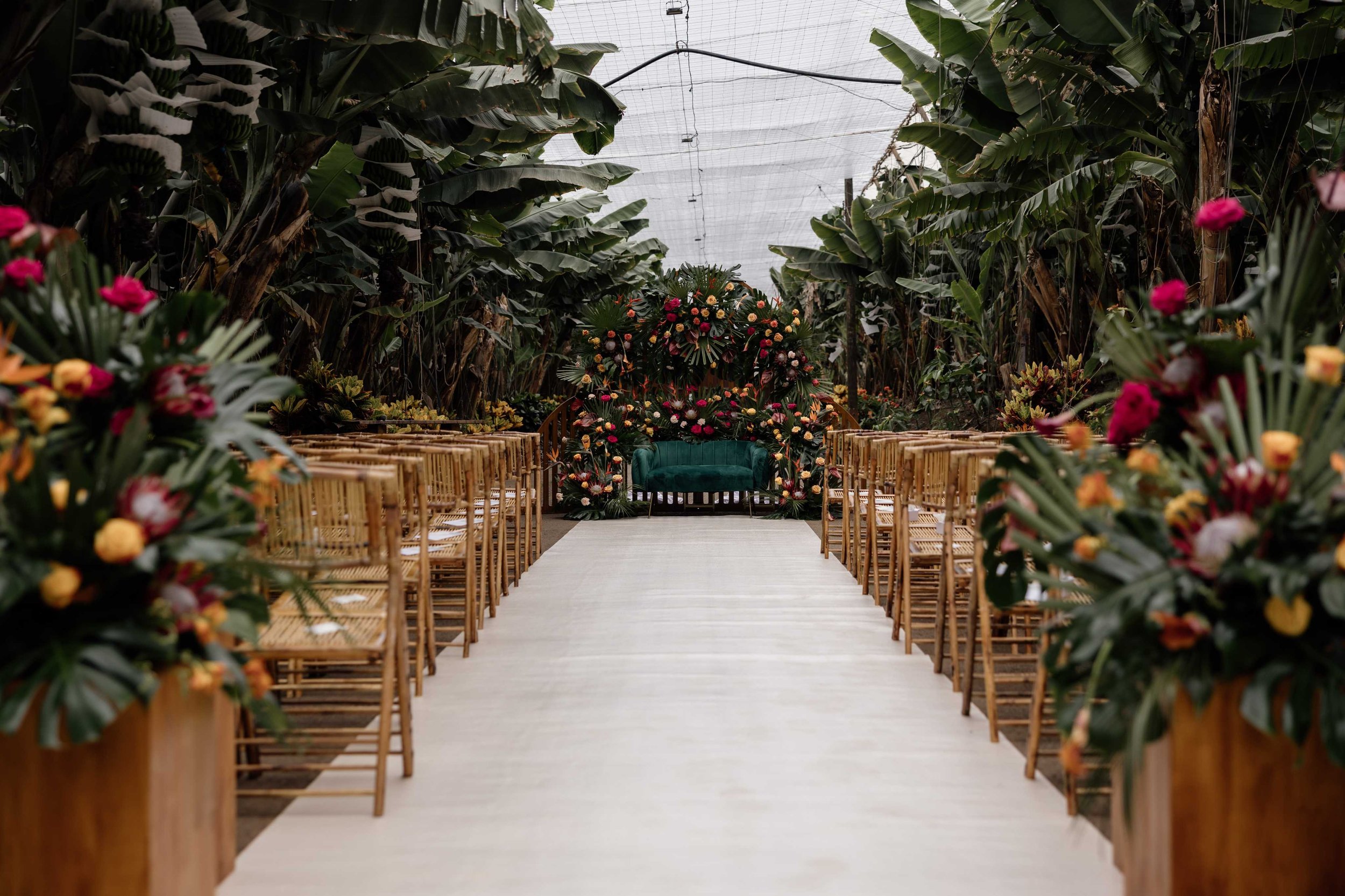 D&S - Wedding in Tenerife - Wedding Planner Tenerife- Licandro Weddings - Ficnca Weddings - Destination Wedding Tenerife-114.jpg