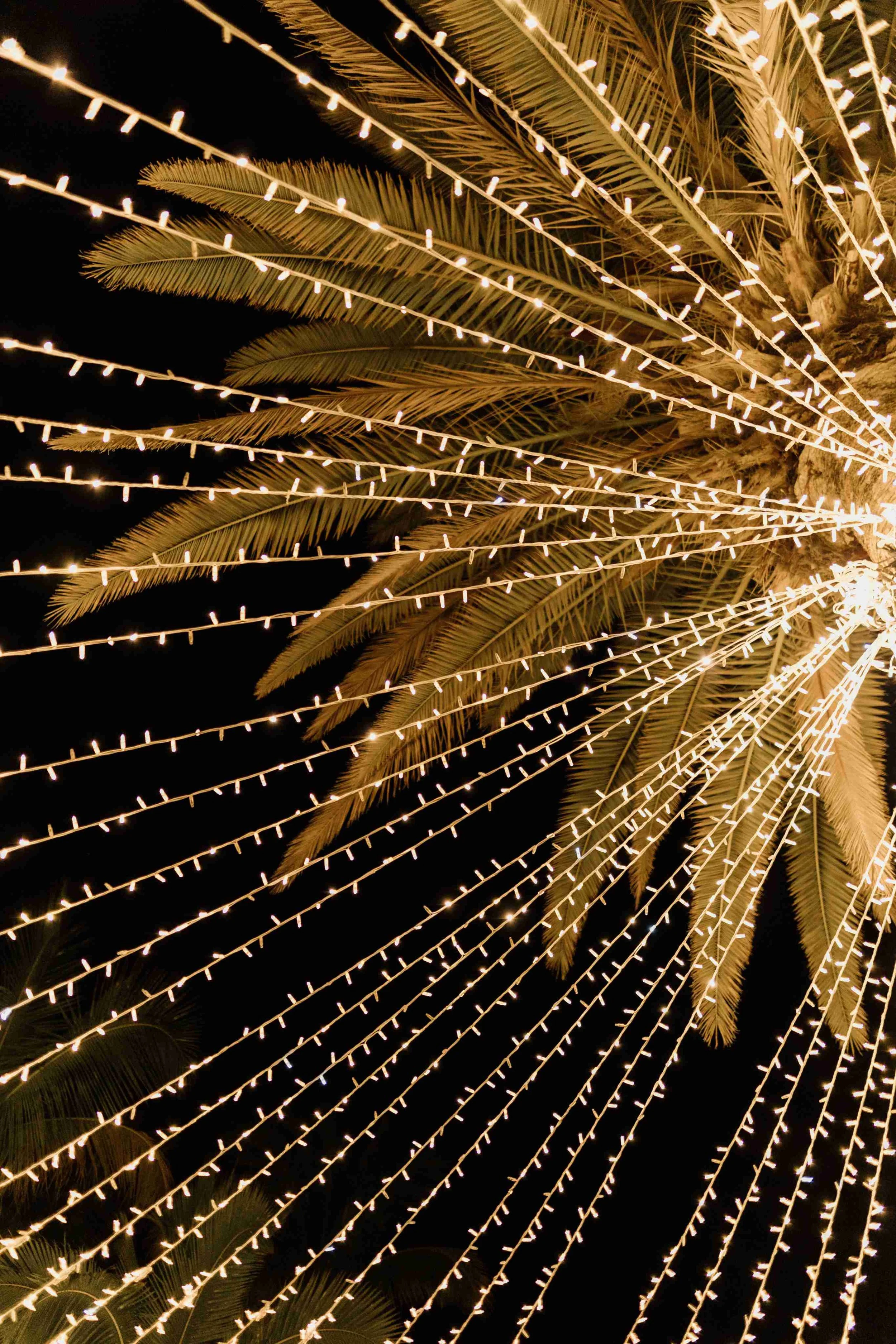 M&R - Licandro Weddings - Tenerife Wedding Planner - Finca Wedding - Tenerife Wedding Photographer - Weddings in Tenerife - Bespoke Wedding in Tenerife-772.jpg