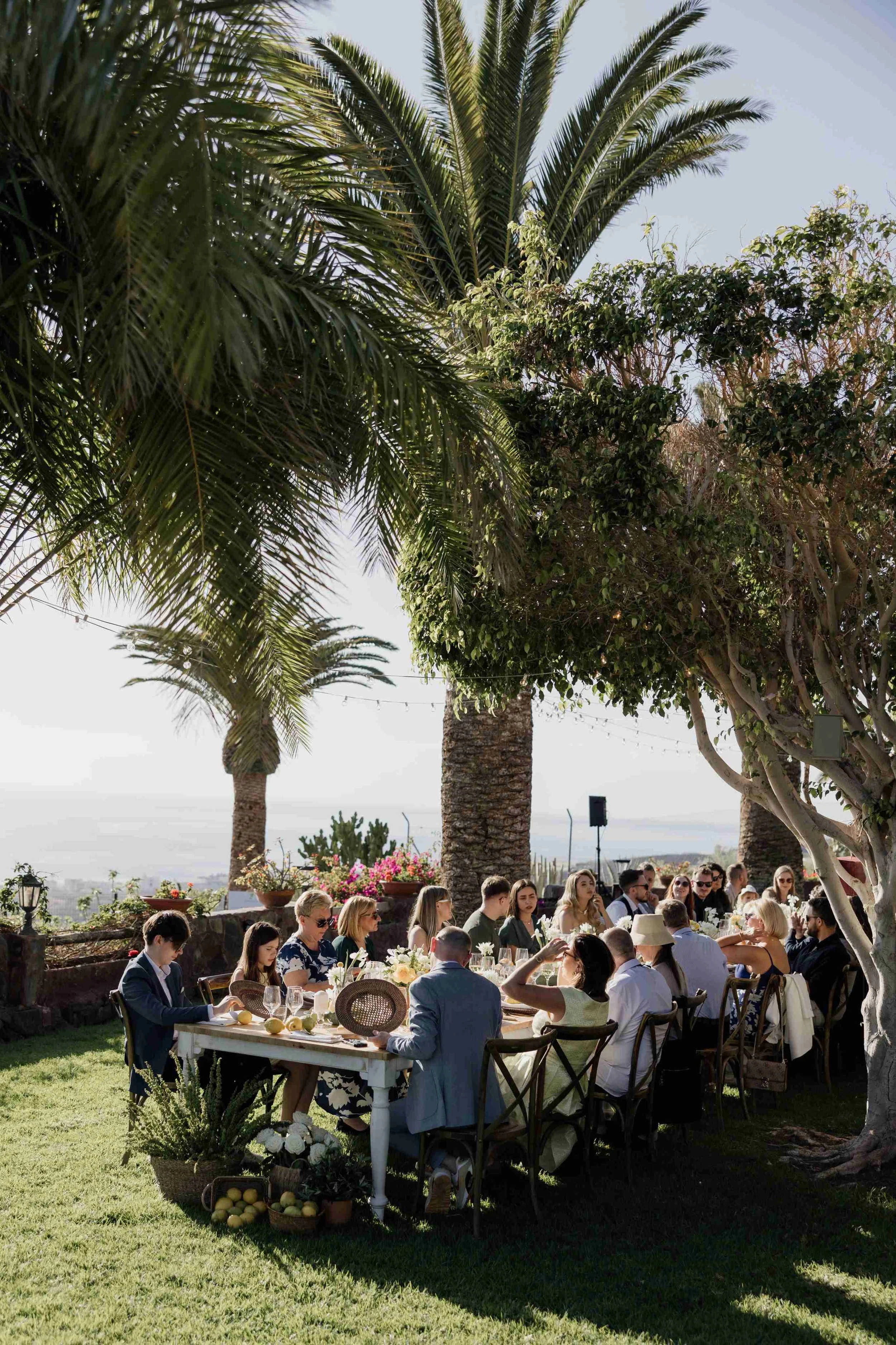 Y&T - Licandro Weddings - Tenerife Wedding Planners - Wedding in Tenerife - Finca Wedding Tenerife - Private Venue Tenerife-550.jpg
