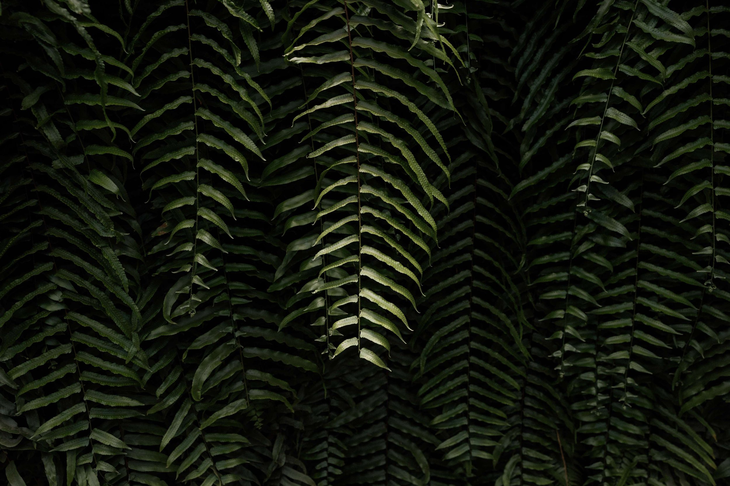 L&P- Licandro Weddings - Tenerife Wedding Planners - Wedding in Tenerife - Finca Wedding Tenerife - Private Venue Tenerife-75.jpg