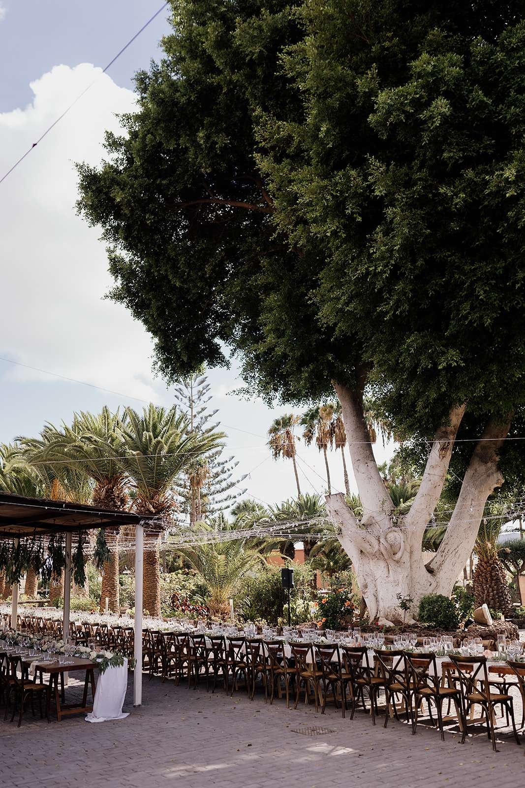 C&F - Licandro Weddings - Tenerife Wedding Planner - Finca Wedding - Tenerife Wedding Photographer - Weddings in Tenerife - Bespoke Wedding in Tenerife-478.jpg