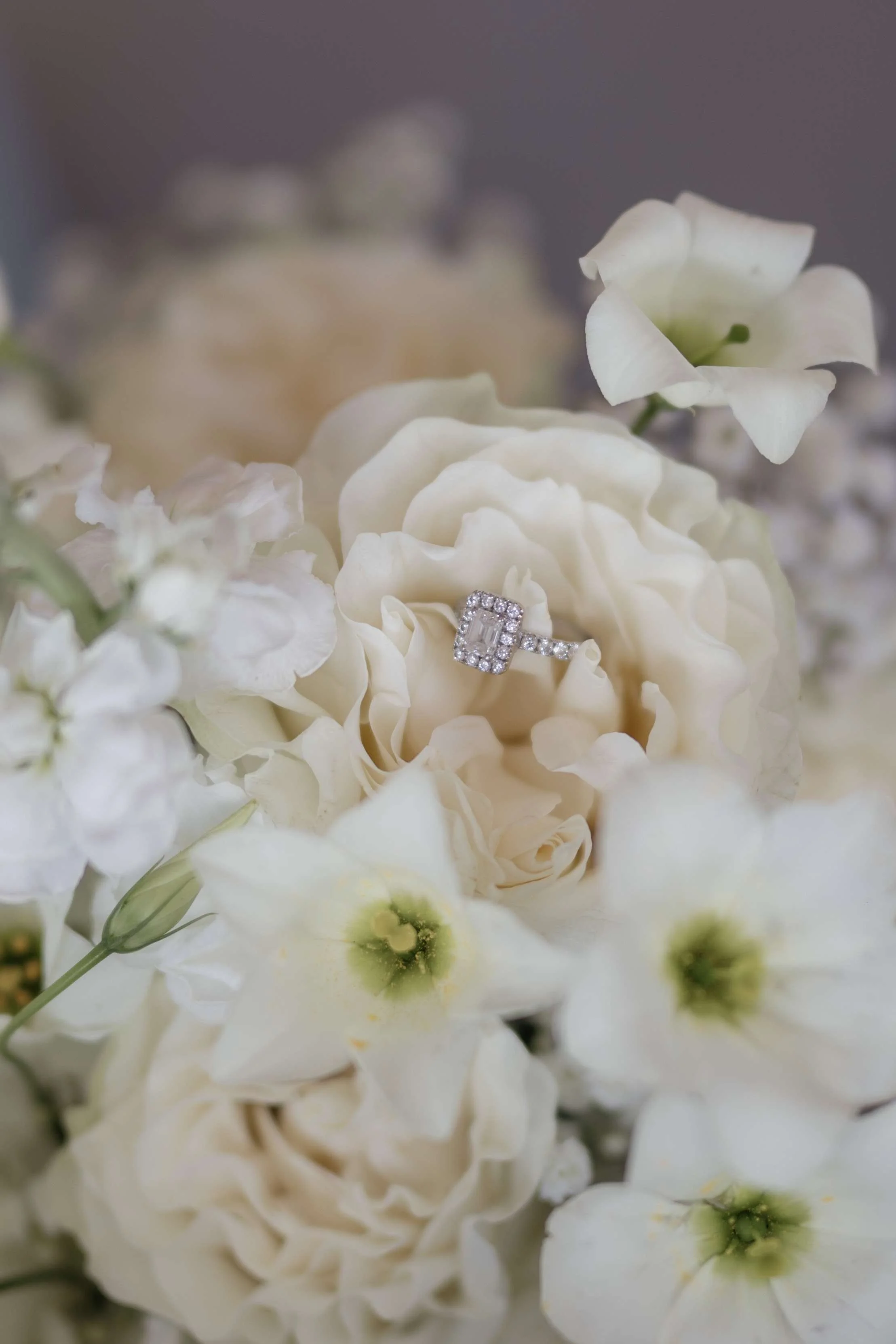 M&R - Licandro Weddings - Tenerife Wedding Planner - Finca Wedding - Tenerife Wedding Photographer - Weddings in Tenerife - Bespoke Wedding in Tenerife-12.jpg