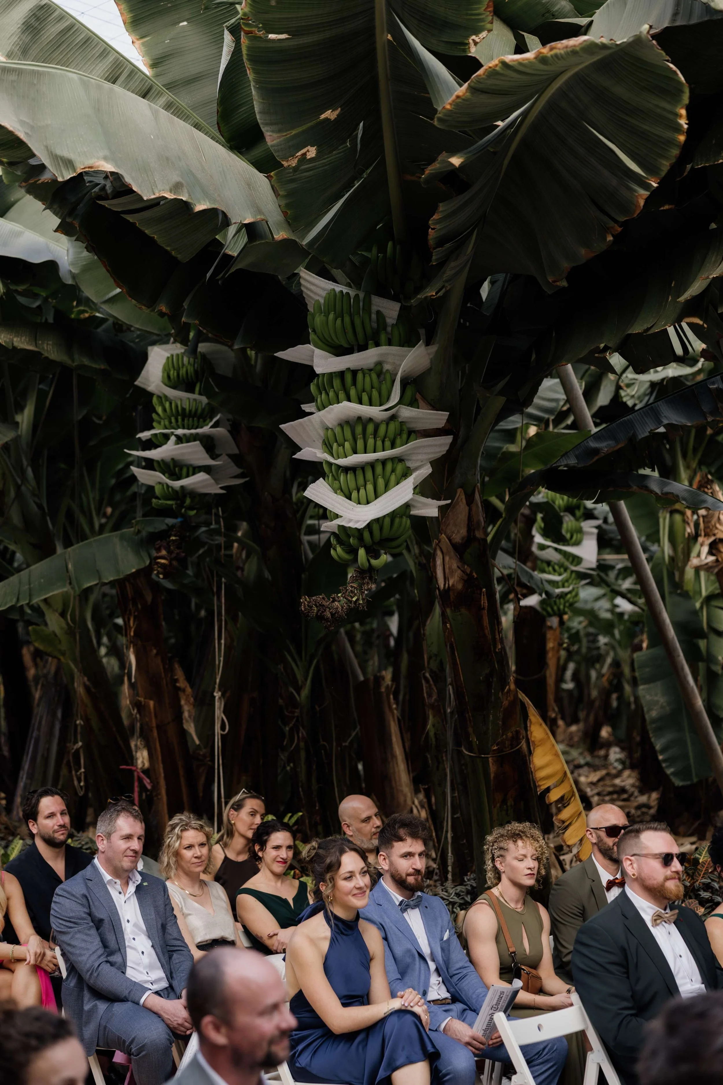 P&I- Wedding in Tenerife - Licandro Weddings - Tenerife Wedding Planner - Finca Wedding - Tenerife Wedding Photographer - Weddings in Tenerife - Bespoke Wedding in Tenerife-248.jpg