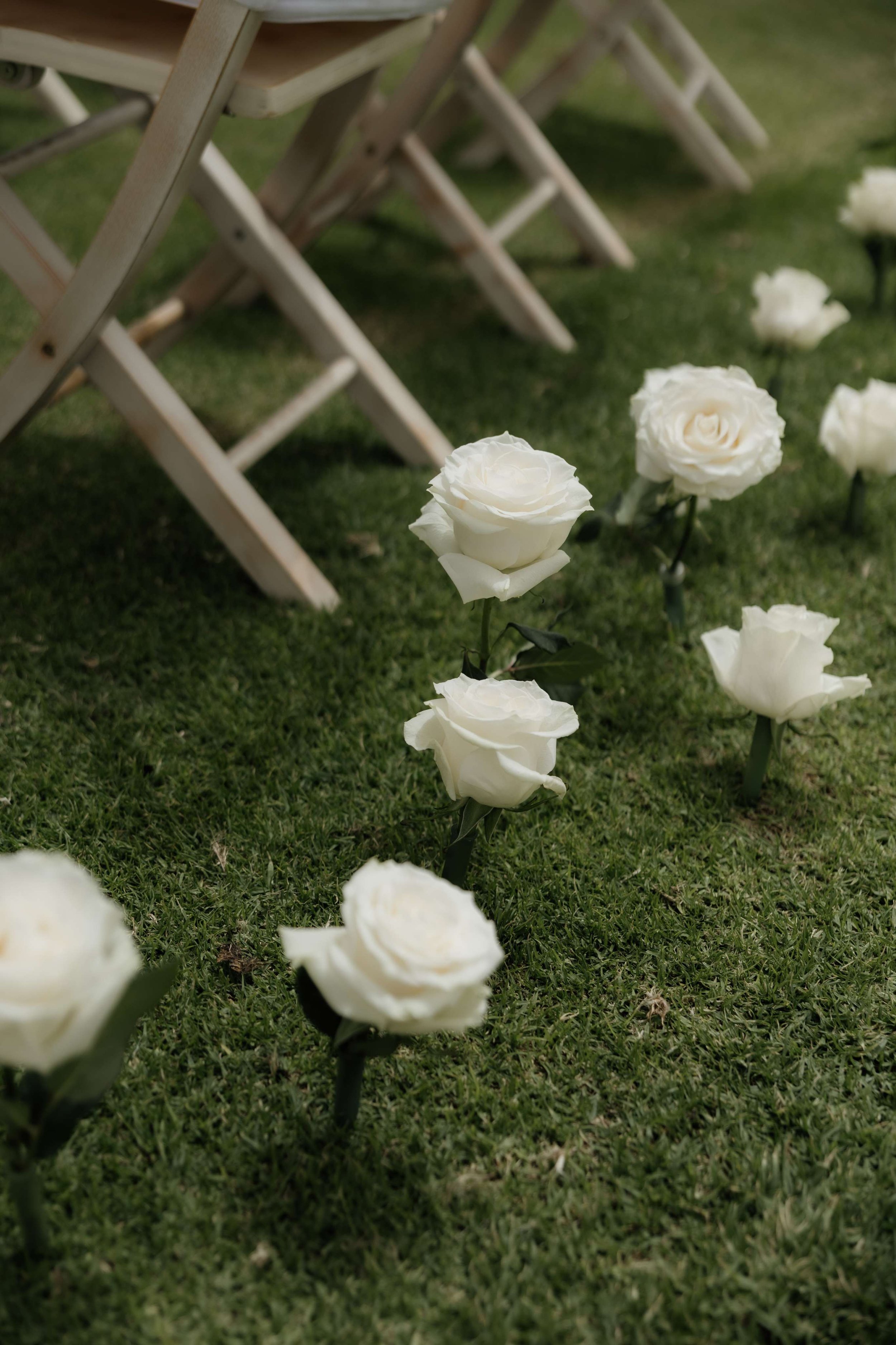 G&D- Licandro Weddings - Tenerife Wedding Planners - Wedding in Tenerife - Finca Wedding Tenerife - Private Venue Tenerife-252.jpg