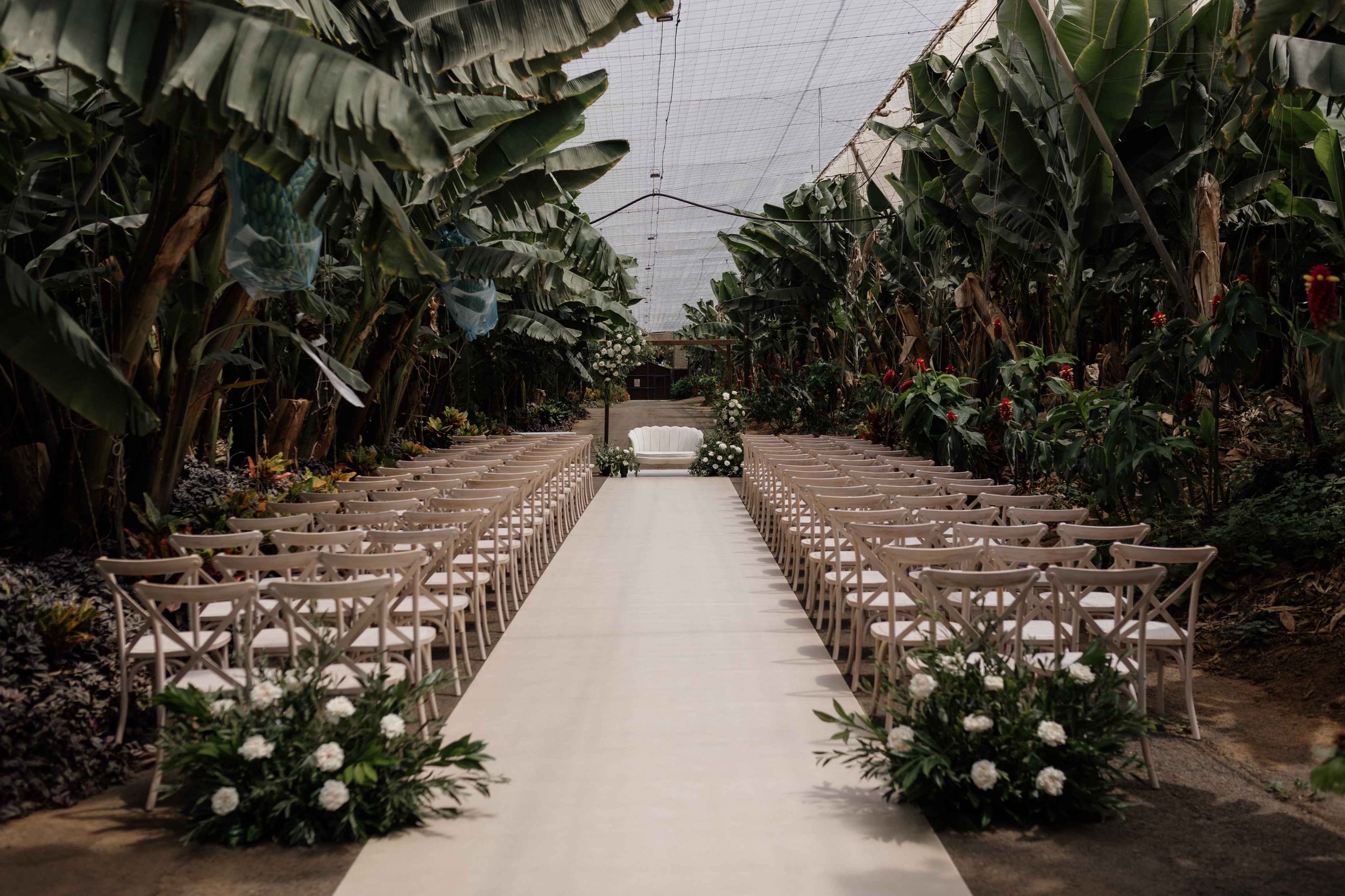 L&A - Licandro Weddings - Tenerife Wedding Planner - Finca Wedding - Tenerife Wedding Photographer - Weddings in Tenerife - Bespoke Wedding in Tenerife-188.jpg