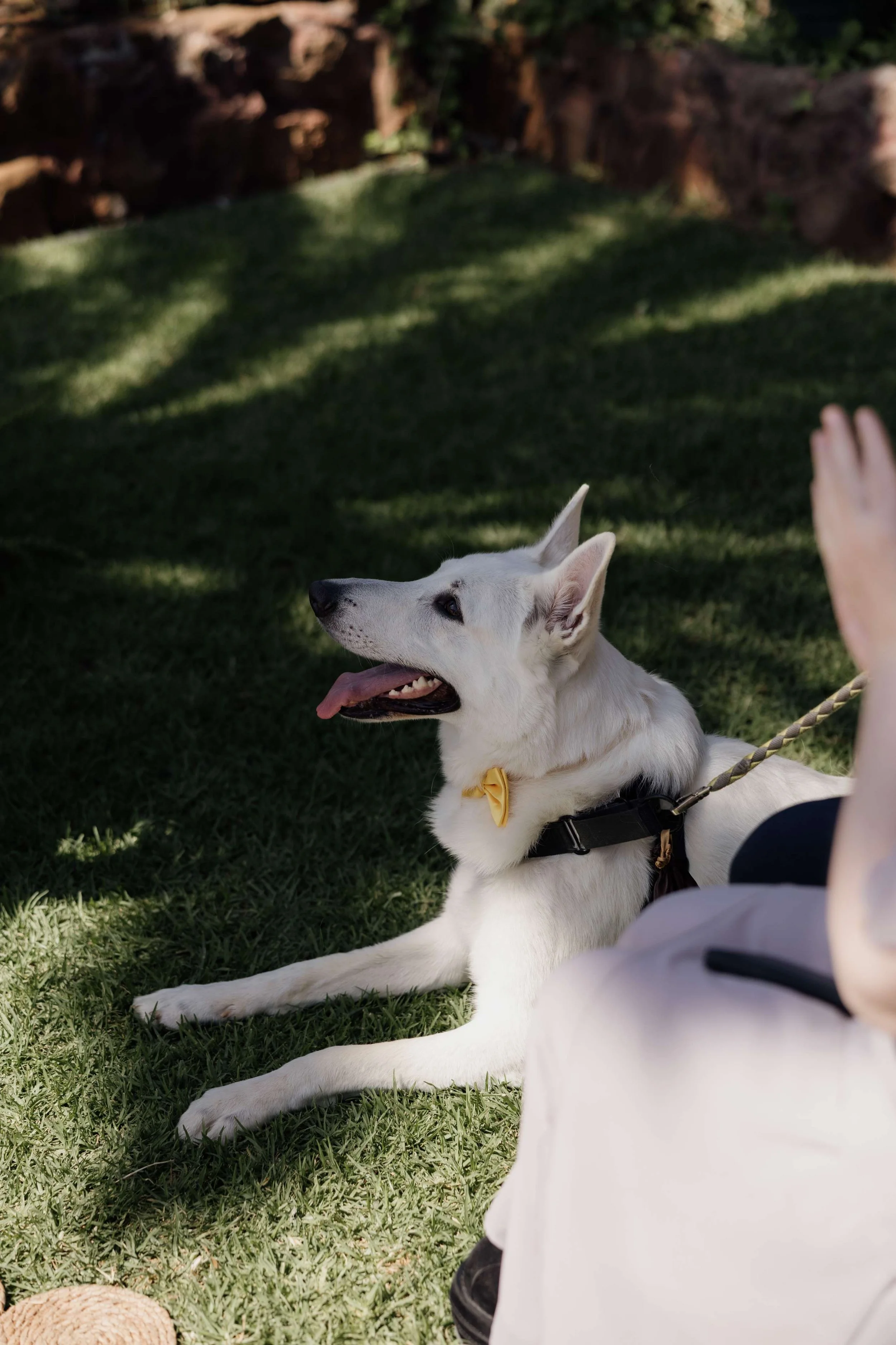 Y&T - Licandro Weddings - Tenerife Wedding Planners - Wedding in Tenerife - Finca Wedding Tenerife - Private Venue Tenerife-231.jpg