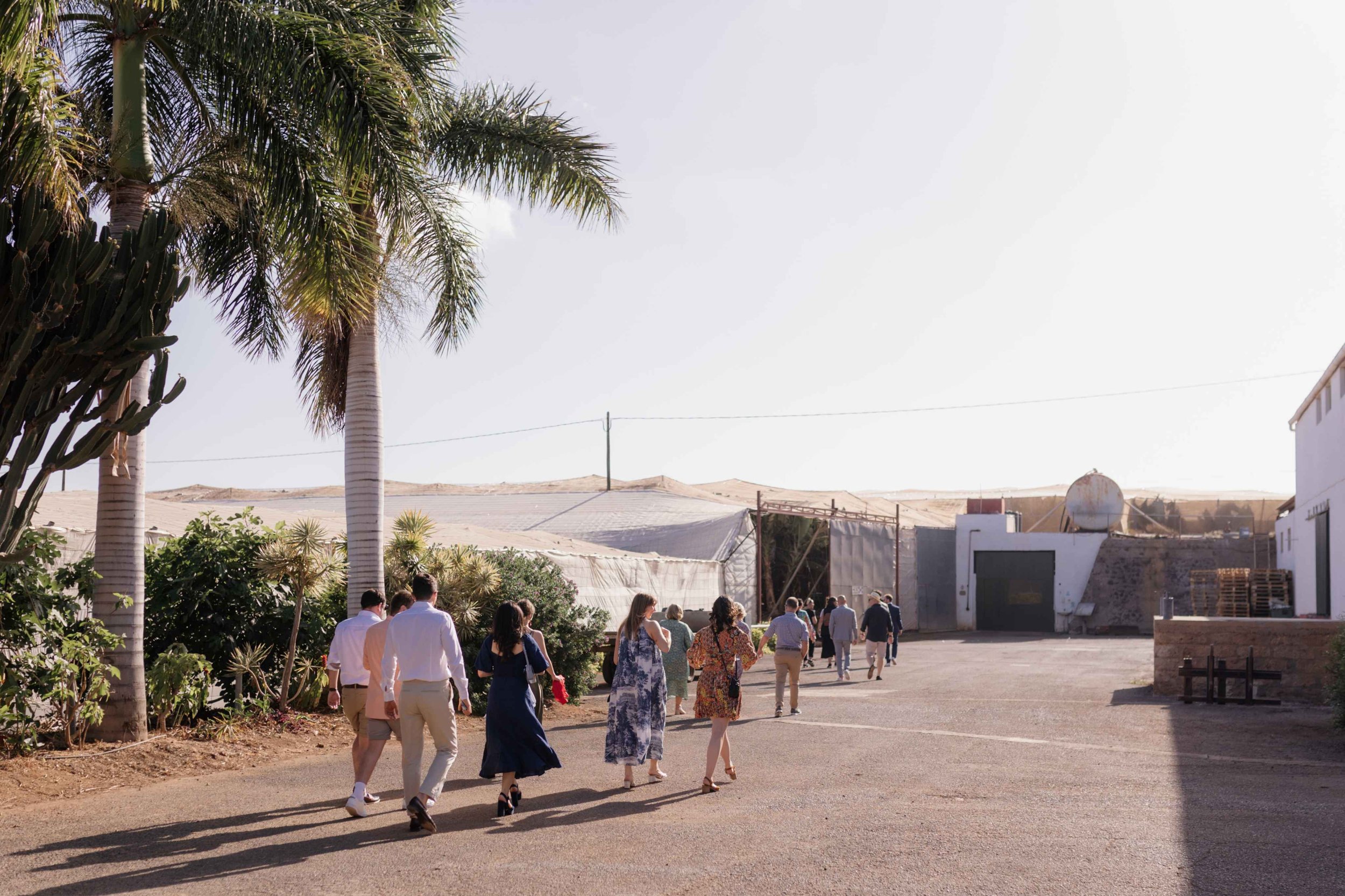 L&V - Licandro Weddings - Tenerife Wedding Planner - Finca Wedding - Tenerife Wedding Photographer - Weddings in Tenerife - Bespoke Wedding in Tenerife-302.jpg