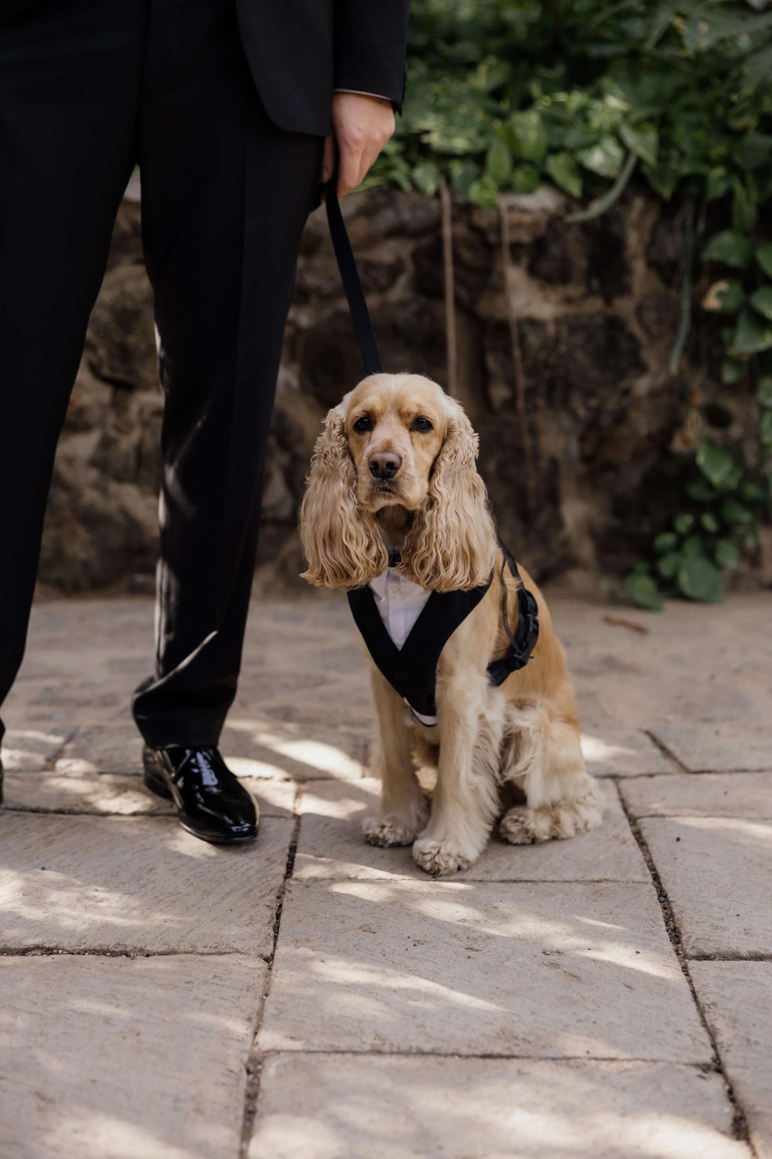 P&I- Wedding in Tenerife - Licandro Weddings - Tenerife Wedding Planner - Finca Wedding - Tenerife Wedding Photographer - Weddings in Tenerife - Bespoke Wedding in Tenerife-115.jpg