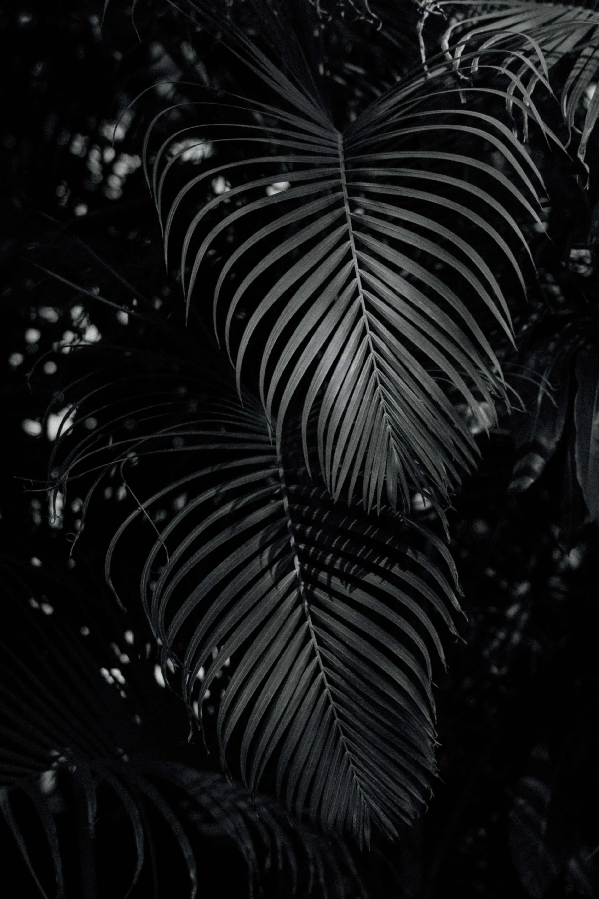 P&I- Wedding in Tenerife - Licandro Weddings - Tenerife Wedding Planner - Finca Wedding - Tenerife Wedding Photographer - Weddings in Tenerife - Bespoke Wedding in Tenerife-58.jpg