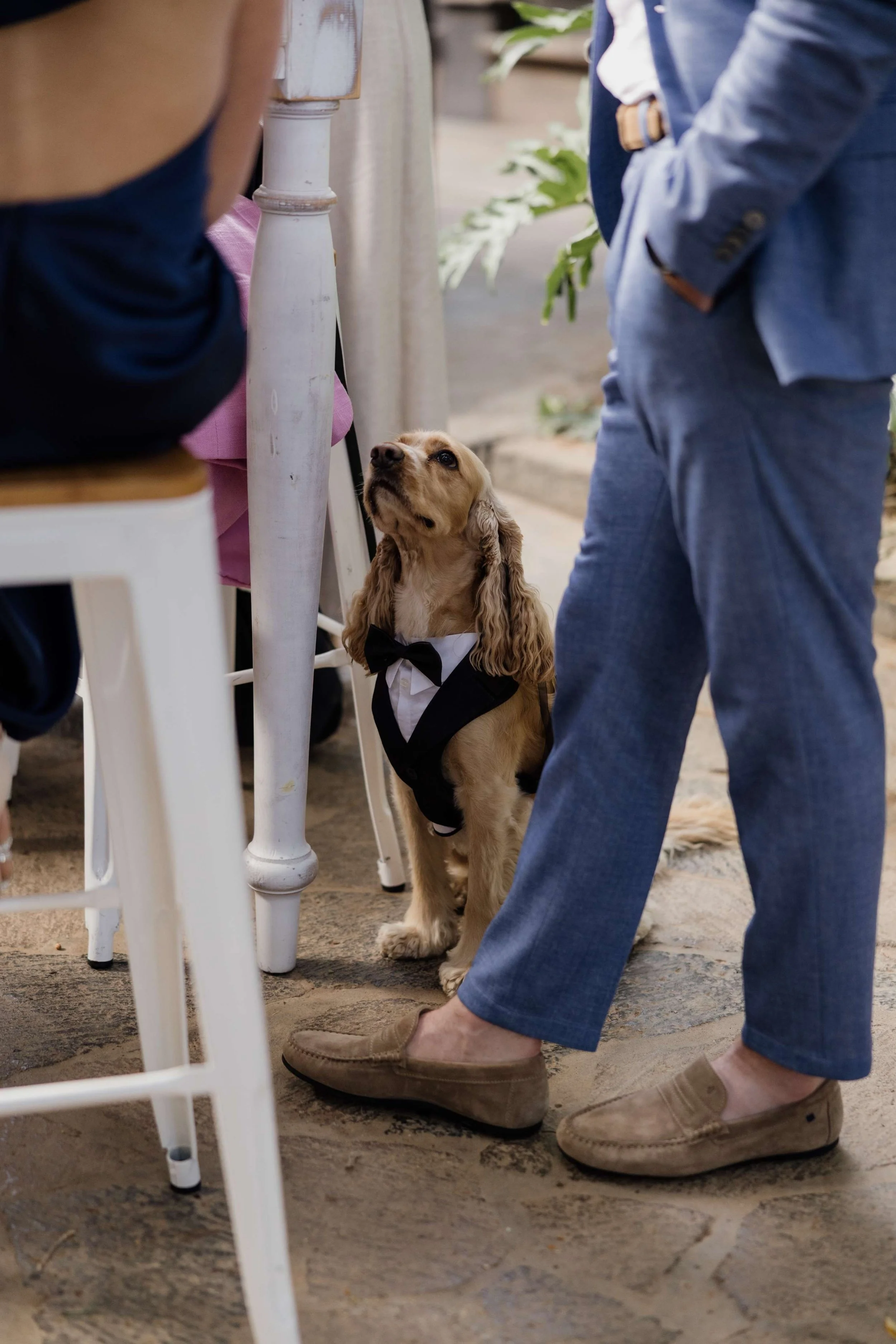 P&I- Wedding in Tenerife - Licandro Weddings - Tenerife Wedding Planner - Finca Wedding - Tenerife Wedding Photographer - Weddings in Tenerife - Bespoke Wedding in Tenerife-451.jpg