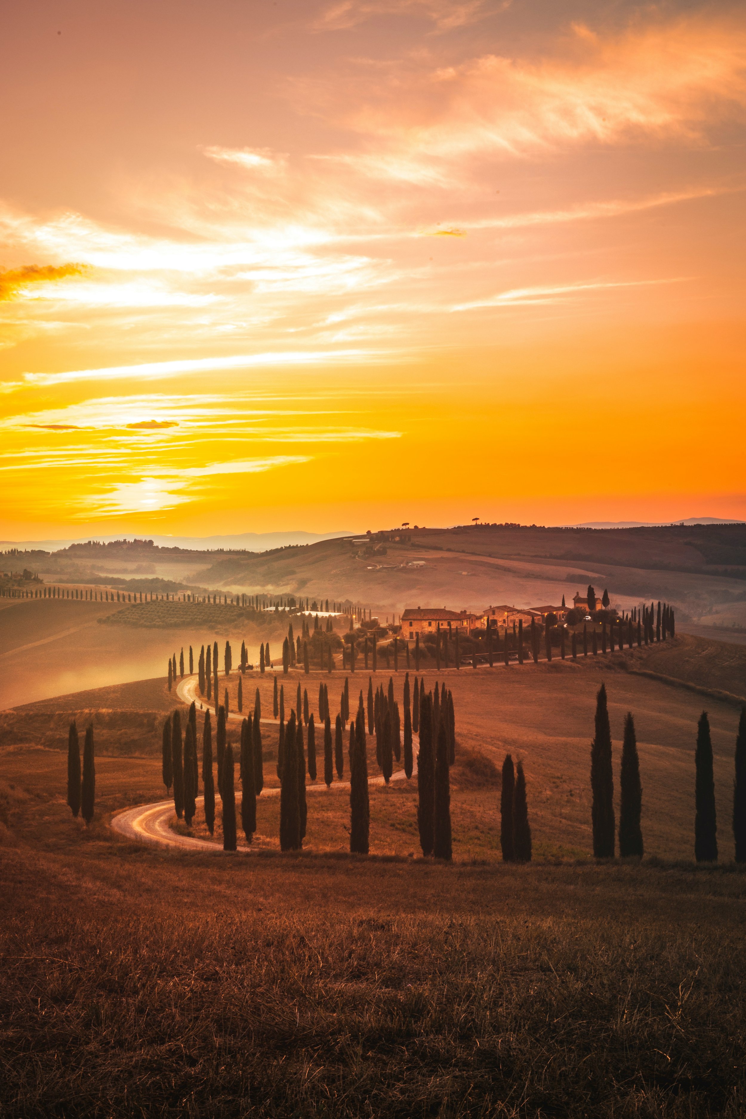 A sunset over rolling hills with a winding dirt road and a row of tall, slender cypress trees in the Italian countryside.
