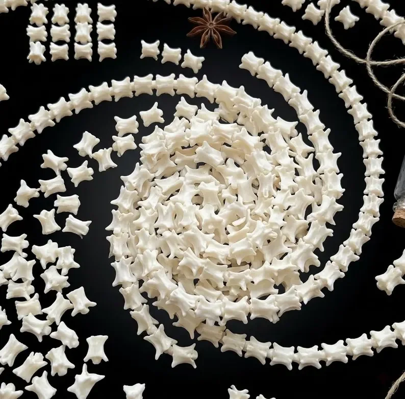 Snake Vertebrae Bone Beads - 30pk