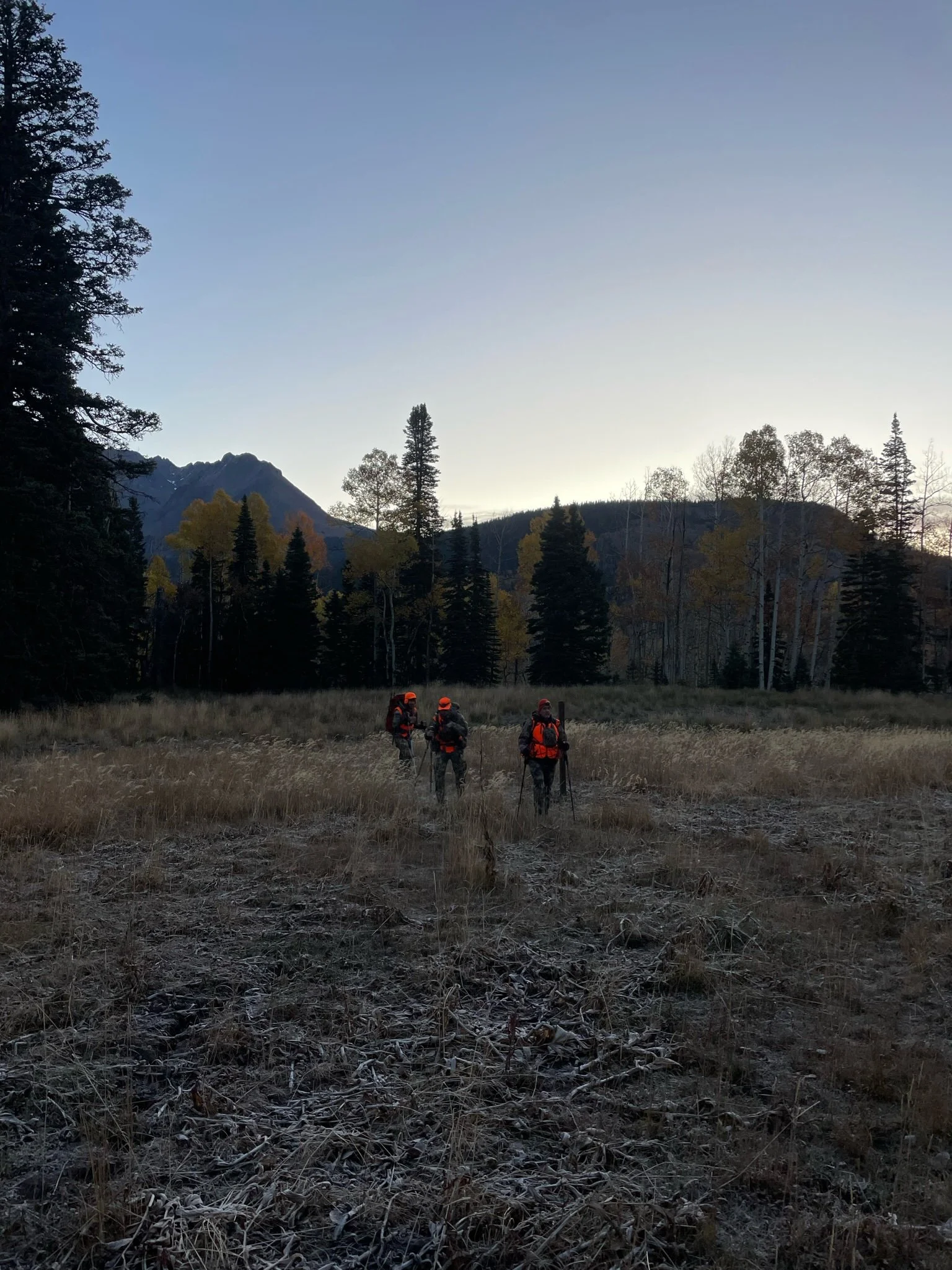 Four hunters wearing orange jackets and backpacks walking through a grassy, frosty field with trees and mountains in the background at sunset or dawn.