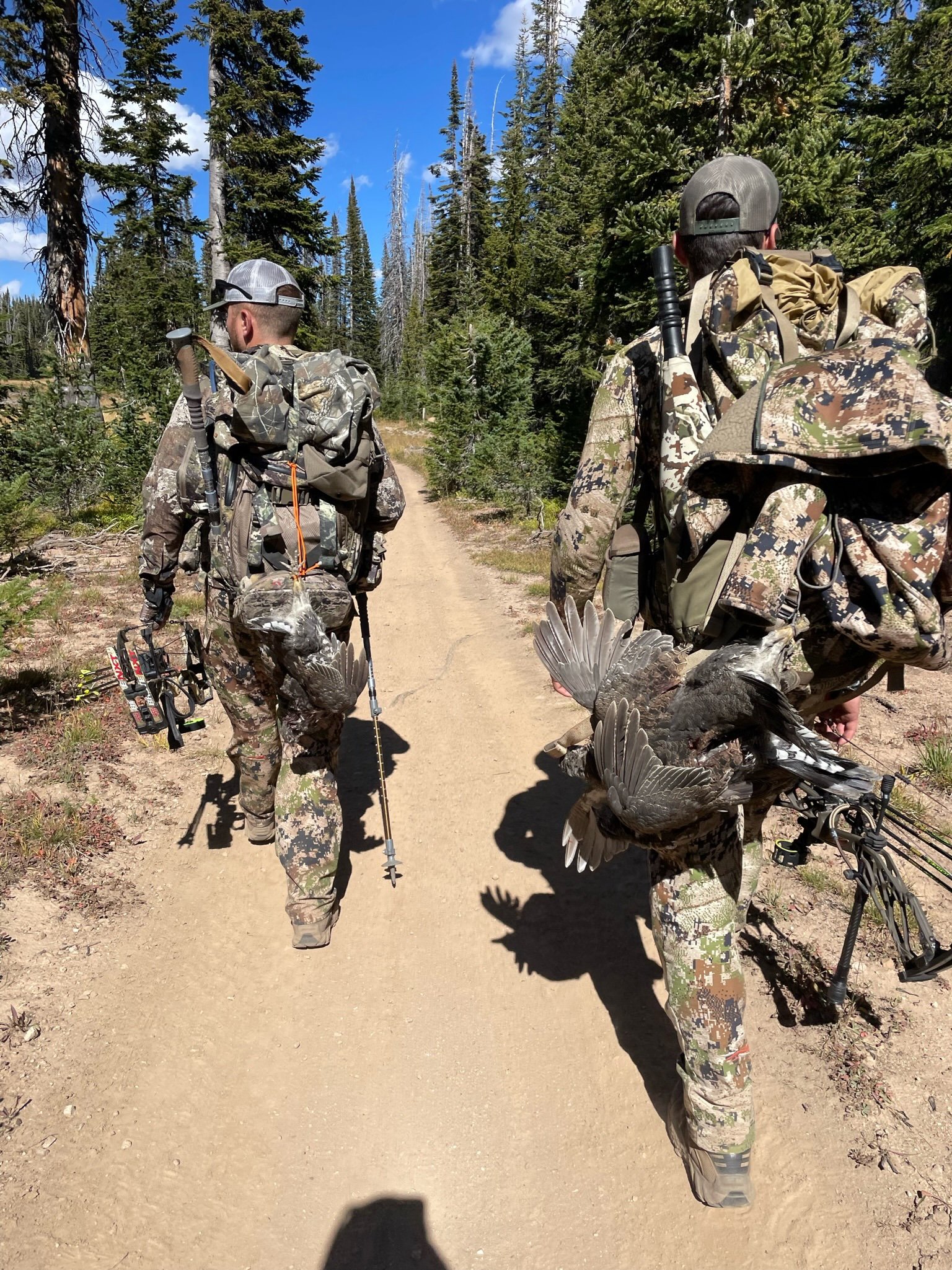 Two hunters walking along a dirt trail in a forest with trees on either side, carrying shotguns, camouflage clothing, and backpacks, with dead turkeys hanging from their waists.