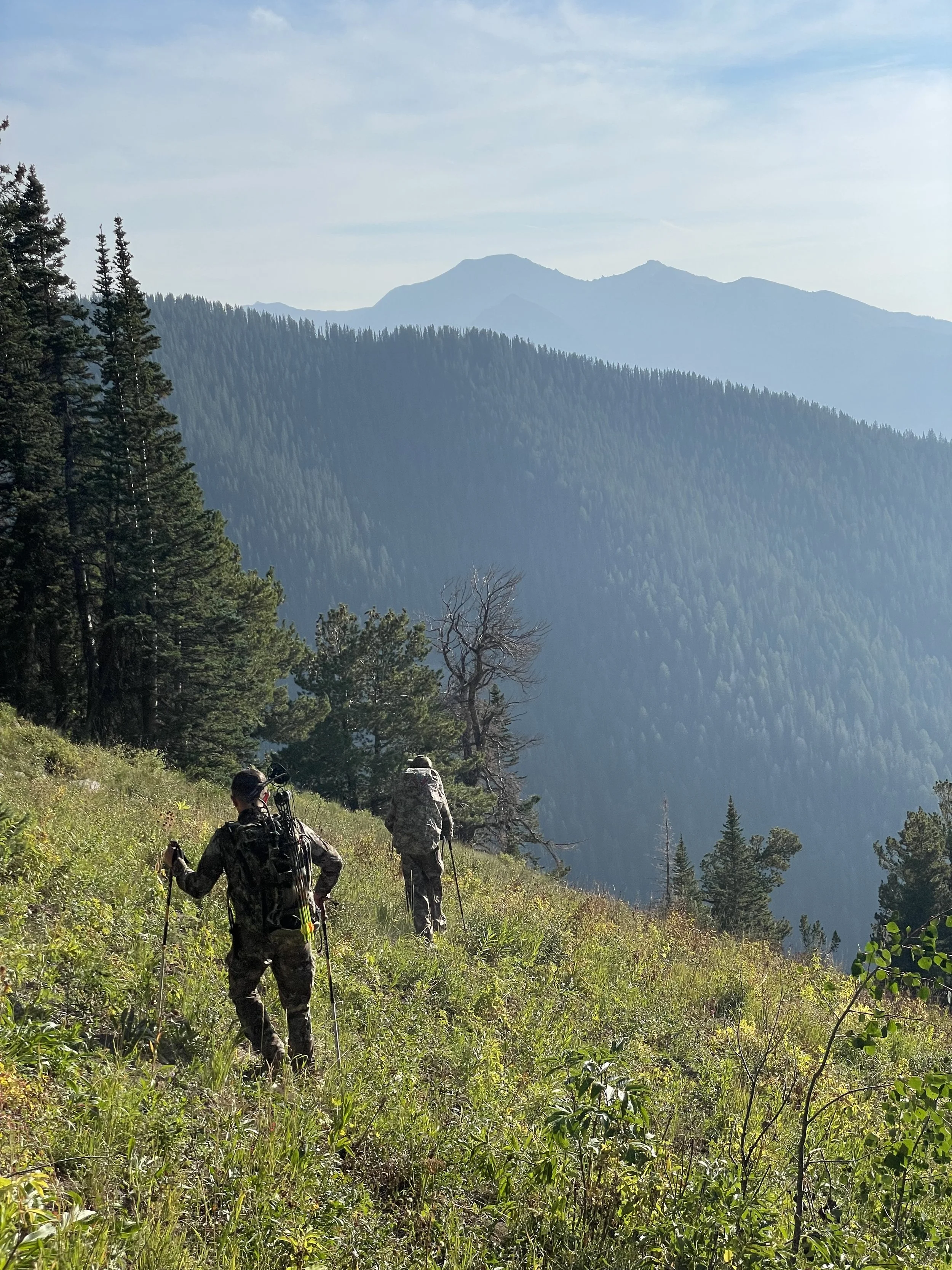 Two hunters walking on a grassy mountain trail with a forested mountain range in the background.