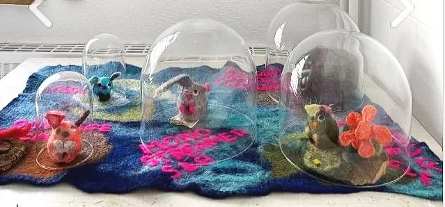 Filterbubbles & Echochambers Universe