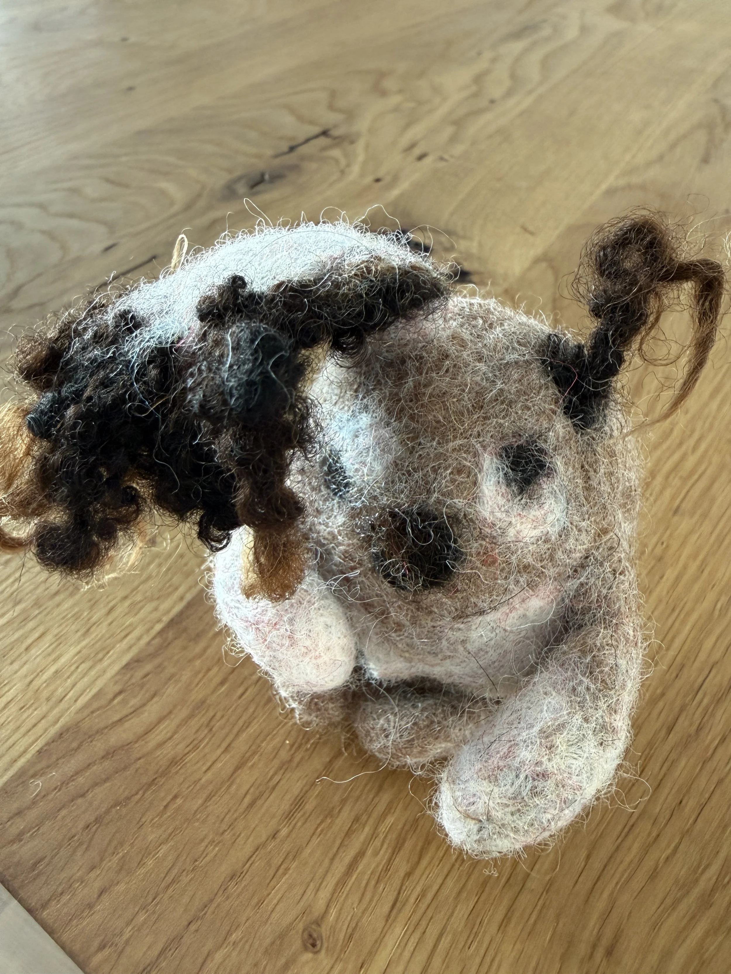 Muck – W-Wesen mit Moosachat.
Ein stiller Begleiter für Erdung, Ruhe und das Vertrauen, wieder festen Boden unter den Füßen zu finden.