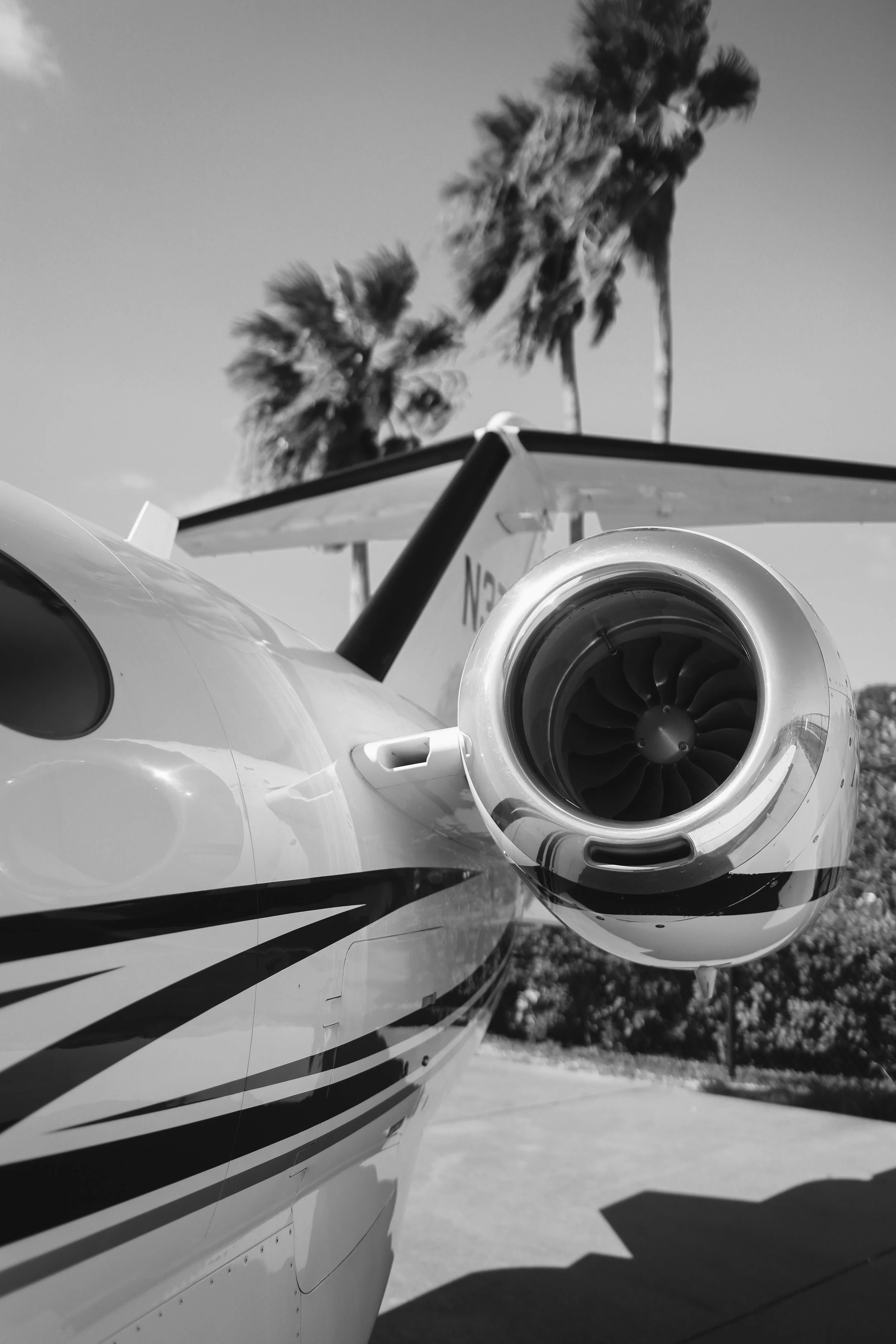 Close-up of the front of a small private jet aircraft, with the engine visible, palm trees in the background, in black and white.