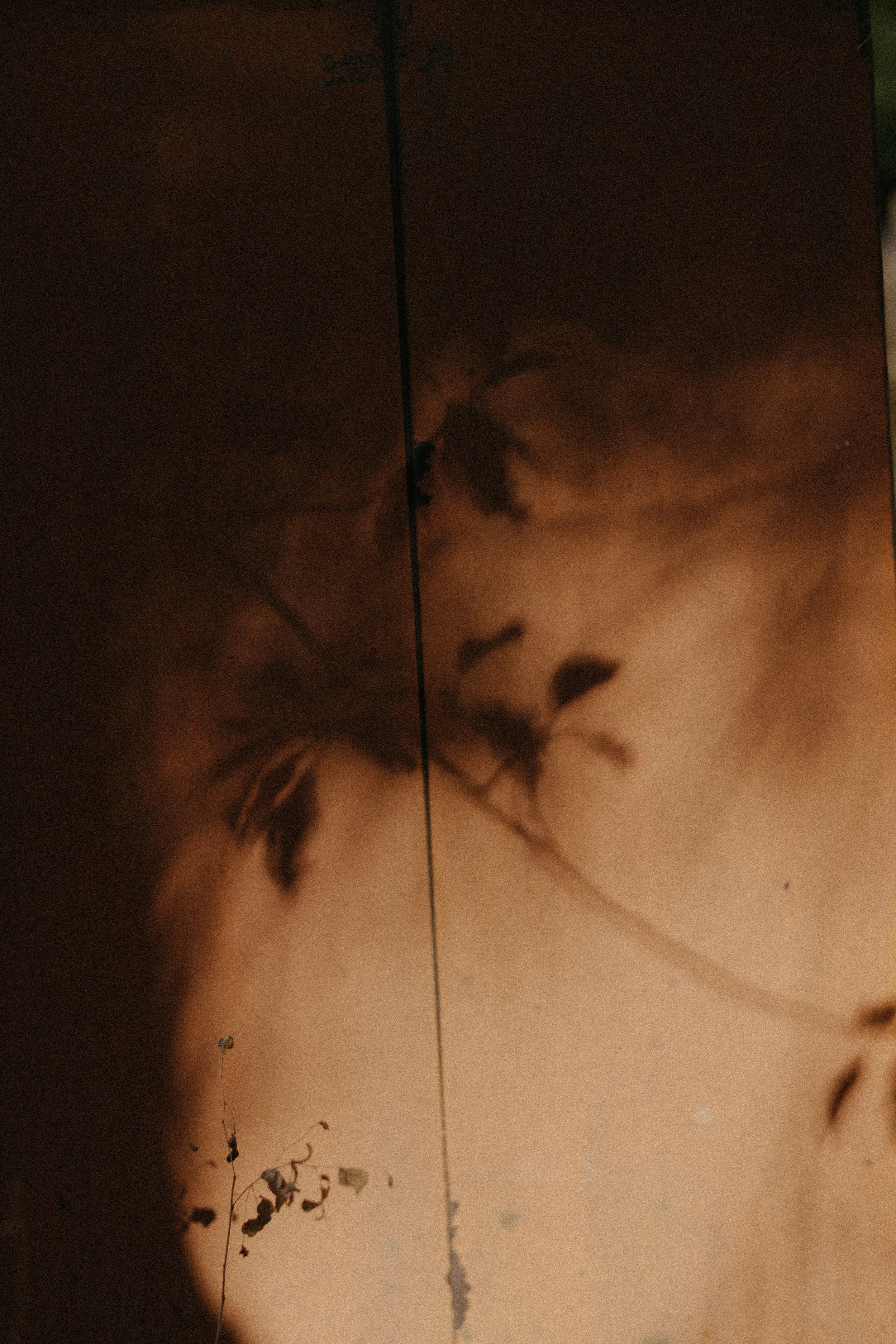 25_10_28_Japan-1009120 4.JPG