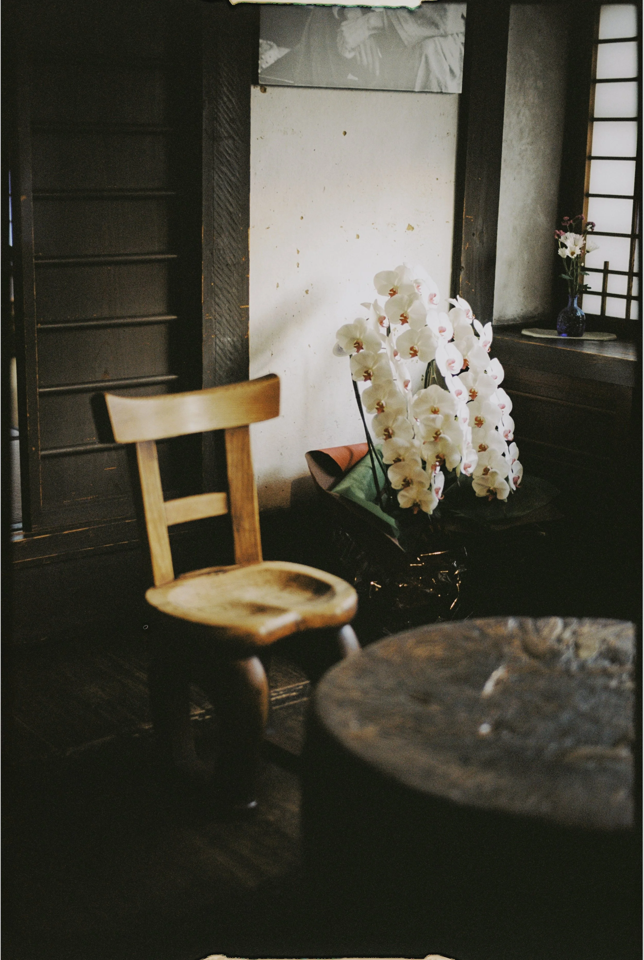 25_10_28_Janpan Film -16.jpg