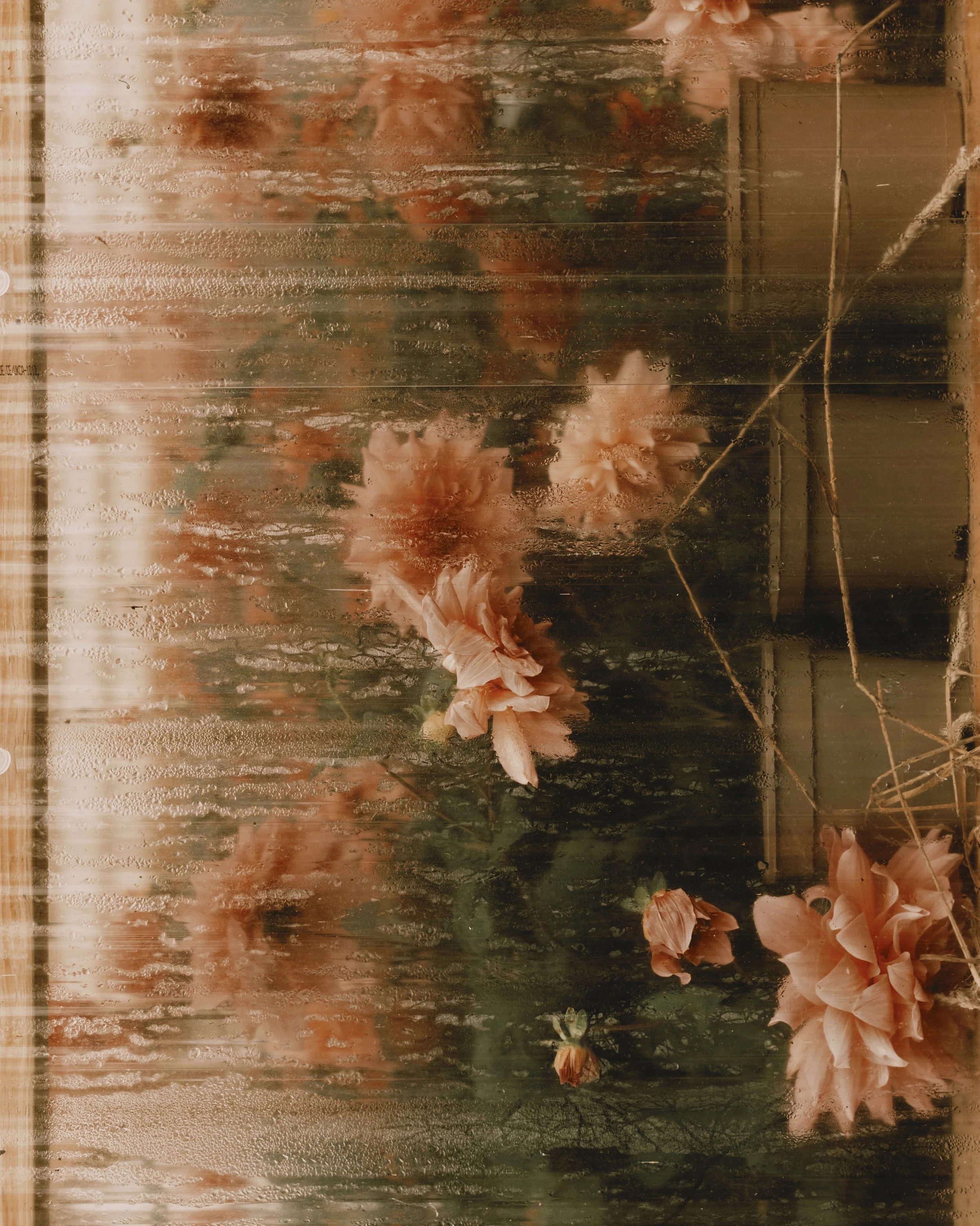 241023_ELLE_FR_Bruton-1070425-3 3.jpg