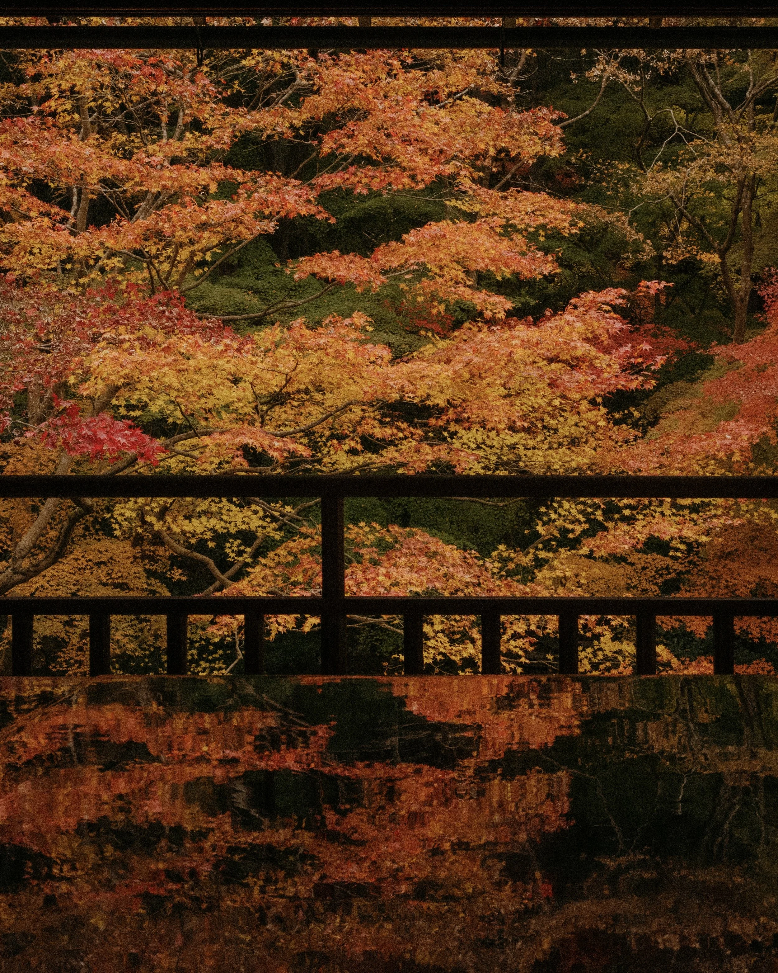 231116_Japan-4 4.jpg