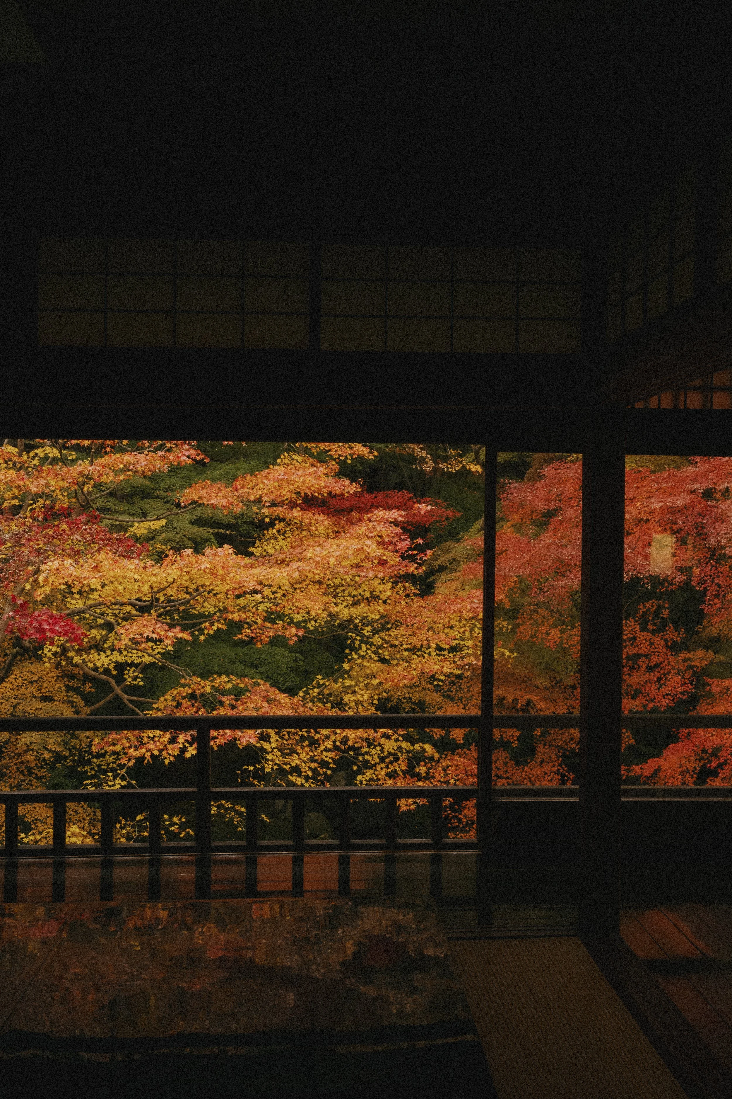 231116_Japan-6 4.JPG