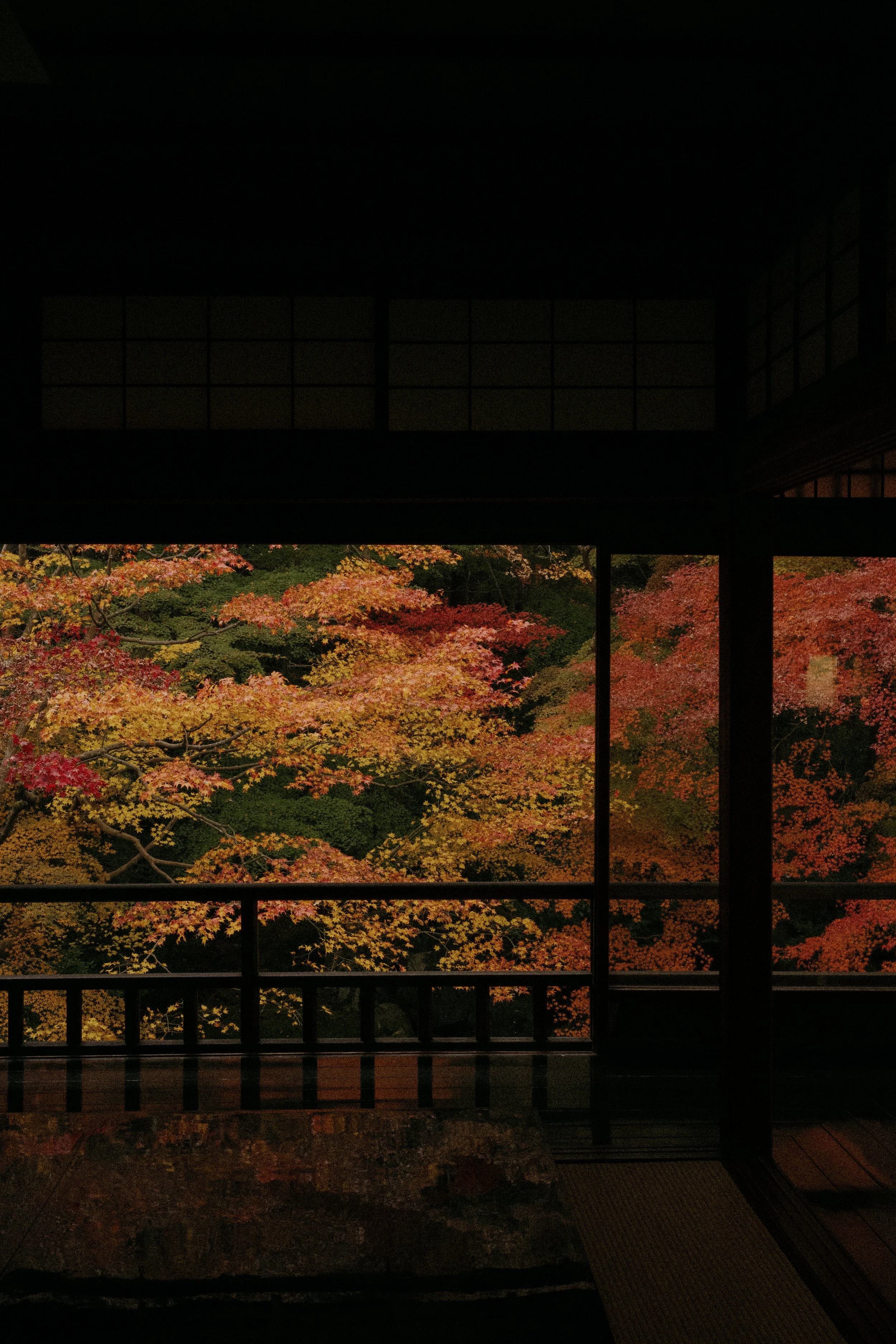 25_10_28_Japan-1000322 4.JPG