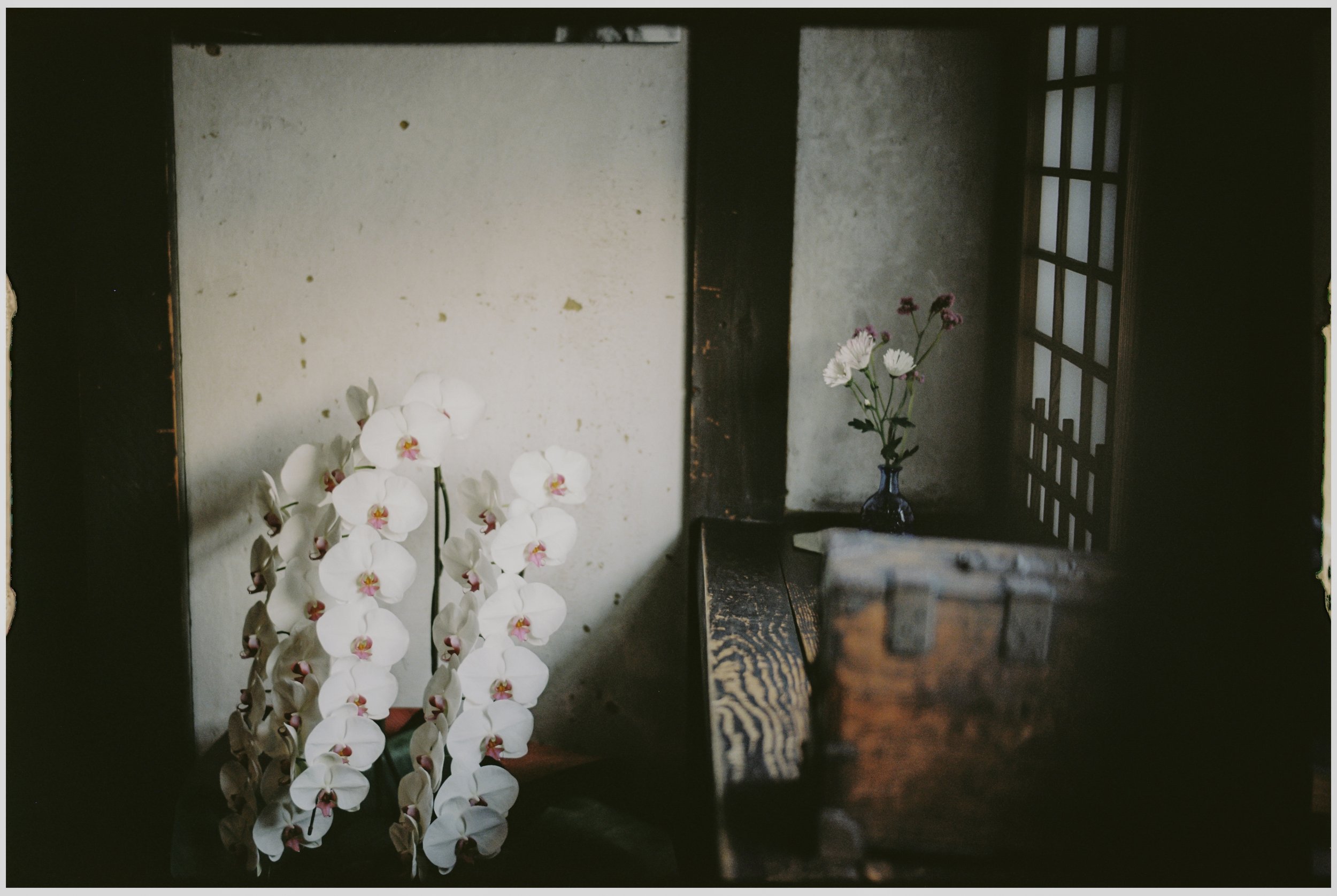 25_10_28_Janpan Film -18.jpg