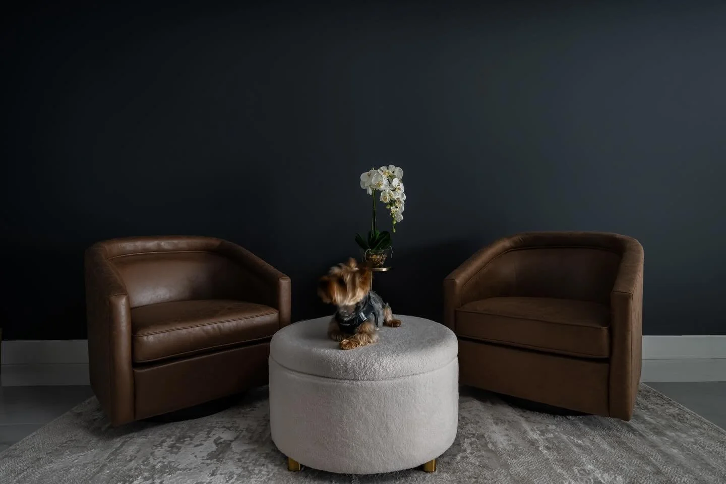 When the cute pups fur matches the leather chairs you put them in the shot. 🐶 📸

Some classy looking seating in this beautifully designed bedroom. 

Loved the dark and moody tones in this space.

Design: @decor.by.demree 

All photos shot and copyr