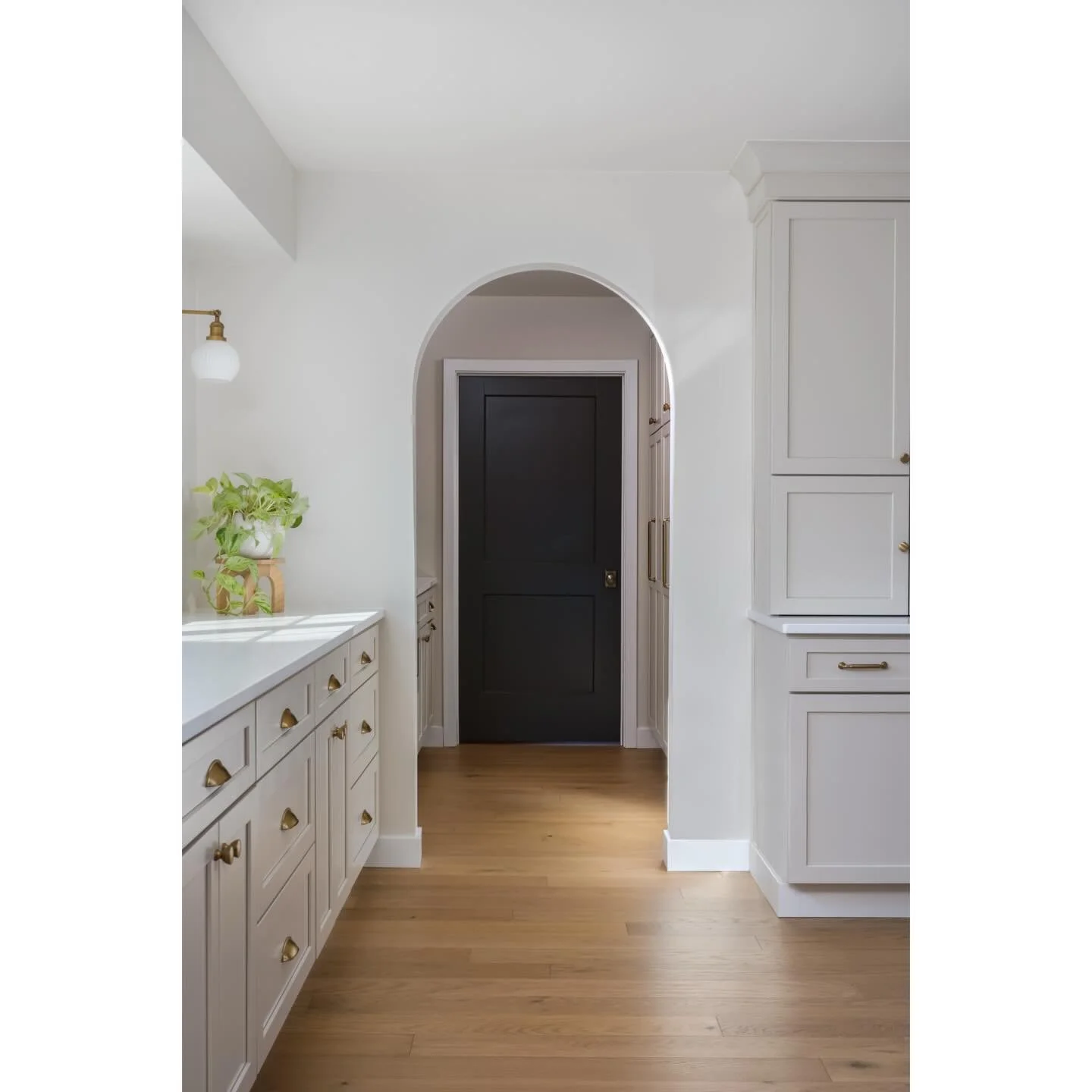 The Archway beautifully connects these spaces.

Creating more space and access from the kitchen into a prep area with wet bar and storage.

Quality design and meticulous details.

Design | Build: @ayars_complete 

Photos shot and copyrighted by @will