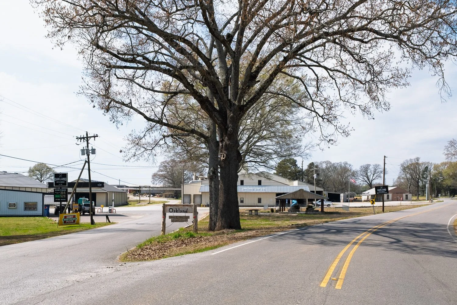 Oakland AL