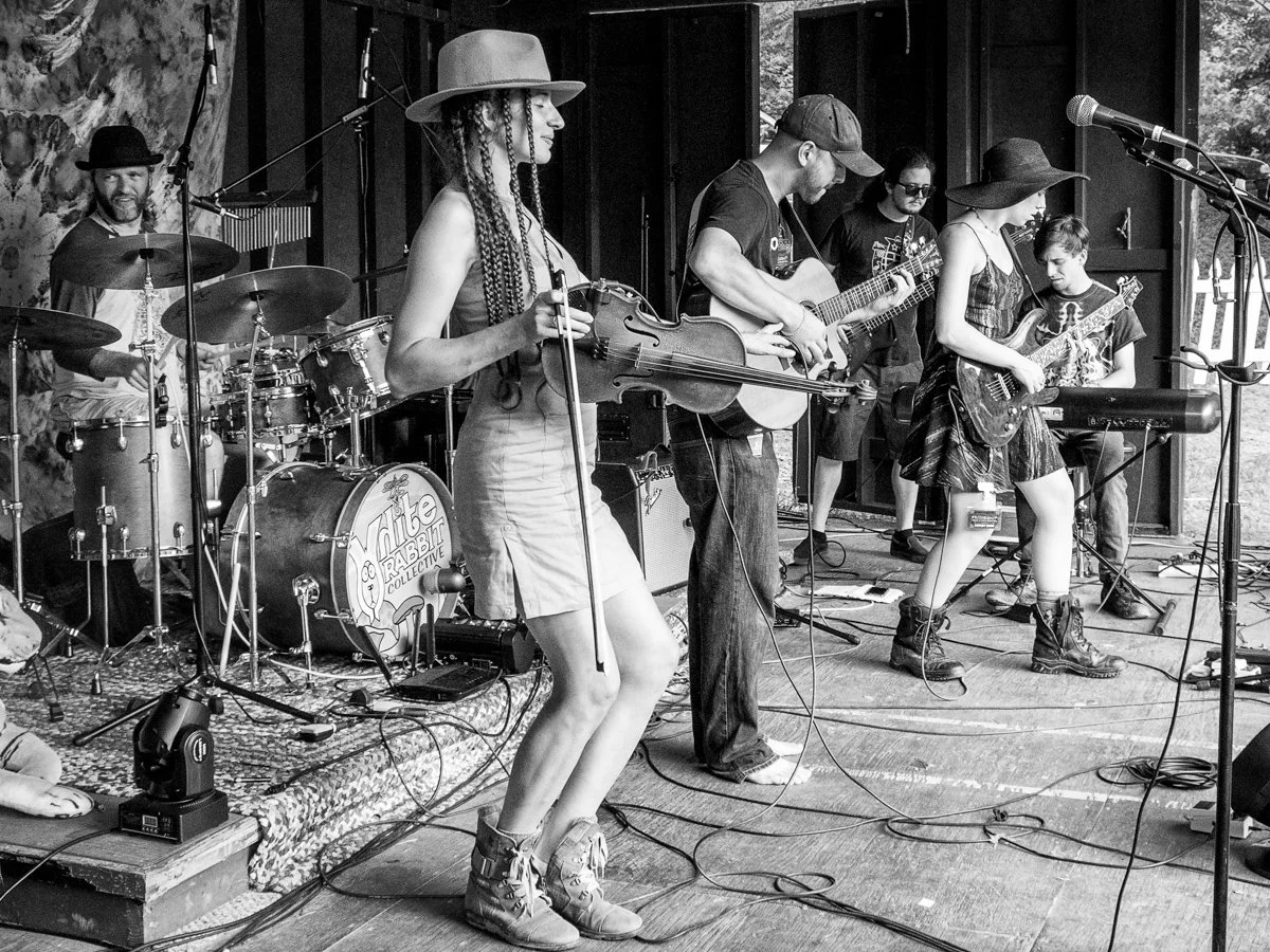 The GMO's, Murrayville GA