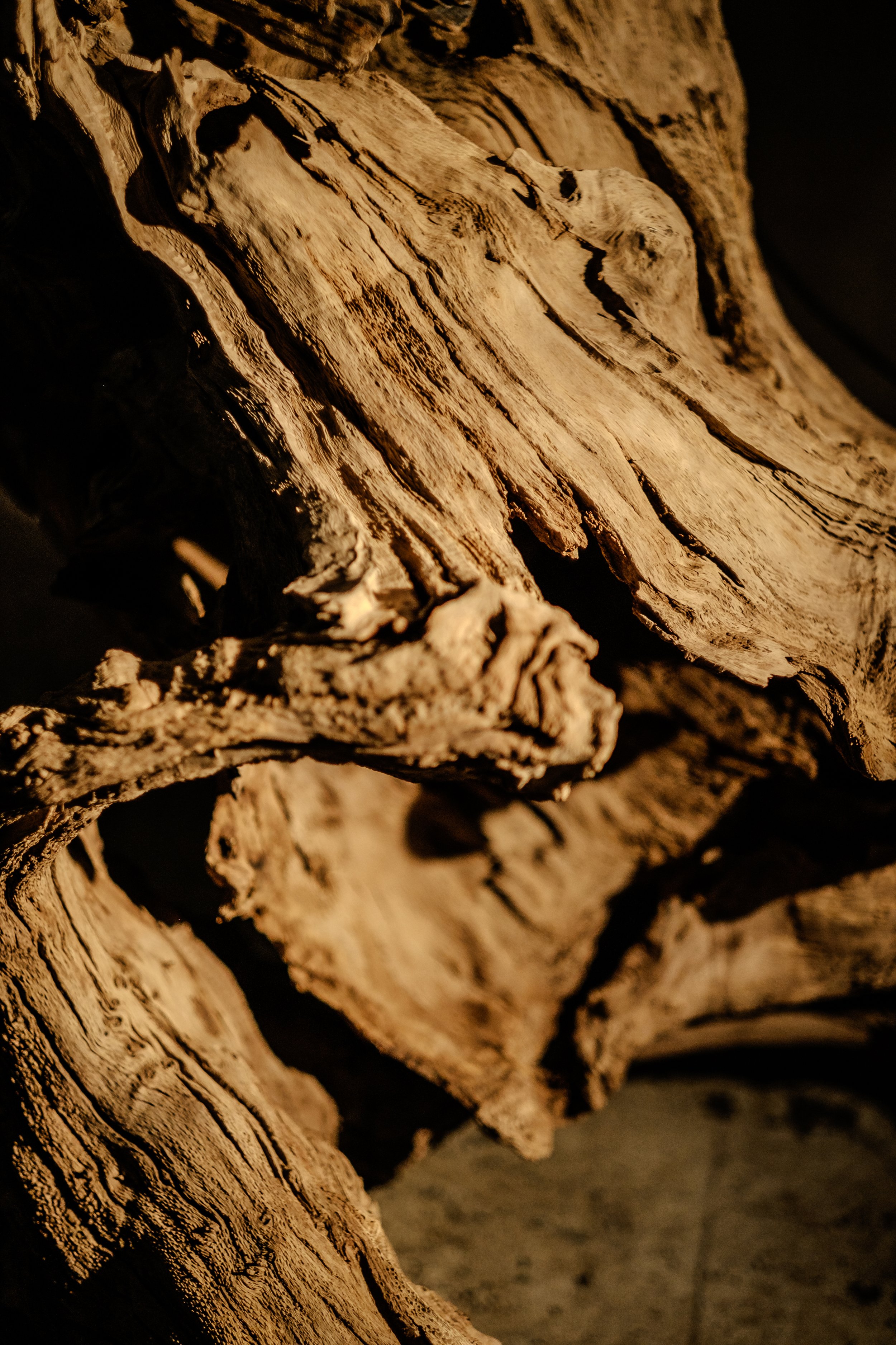 DSCF0526.jpg