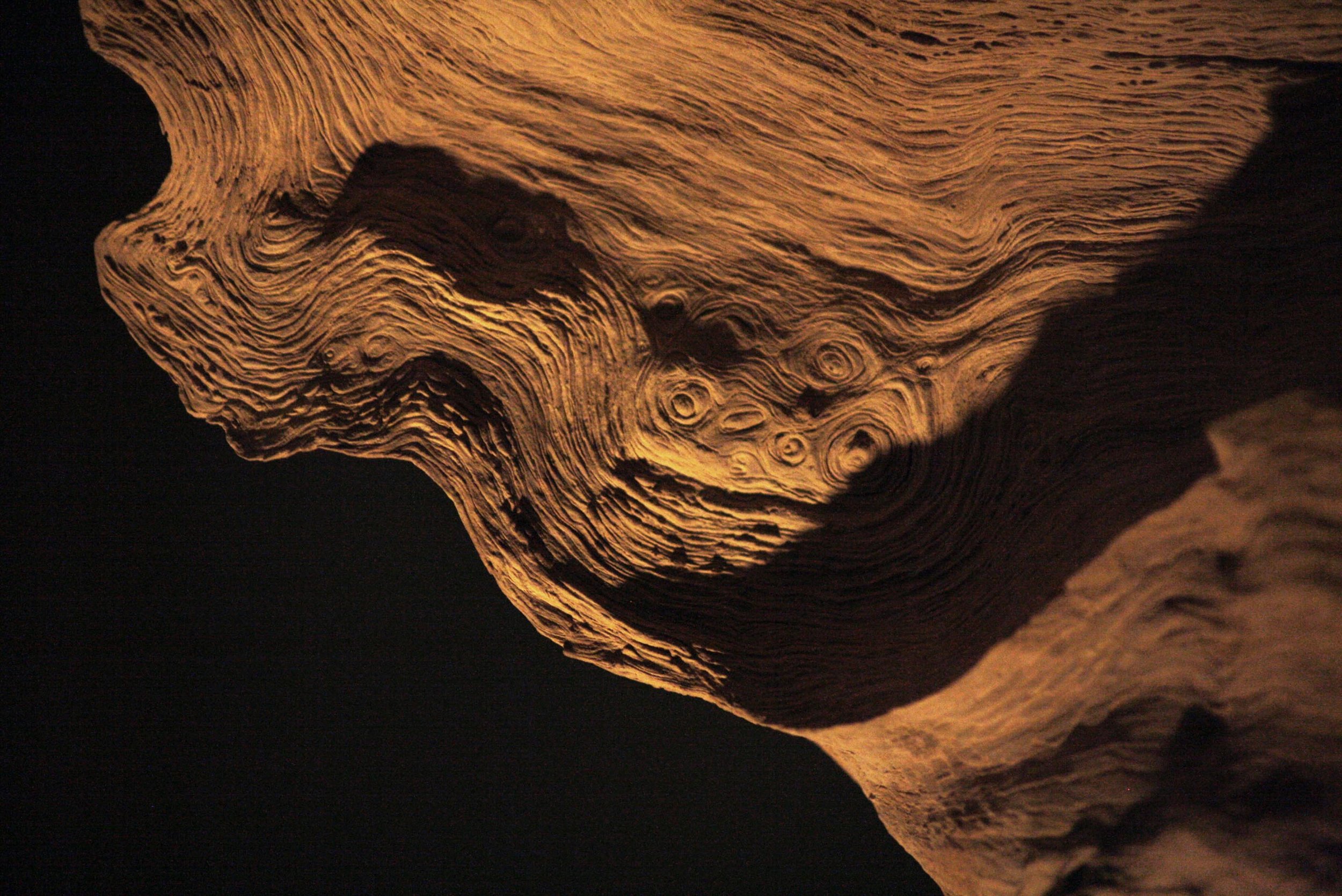 Wood texture.jpg