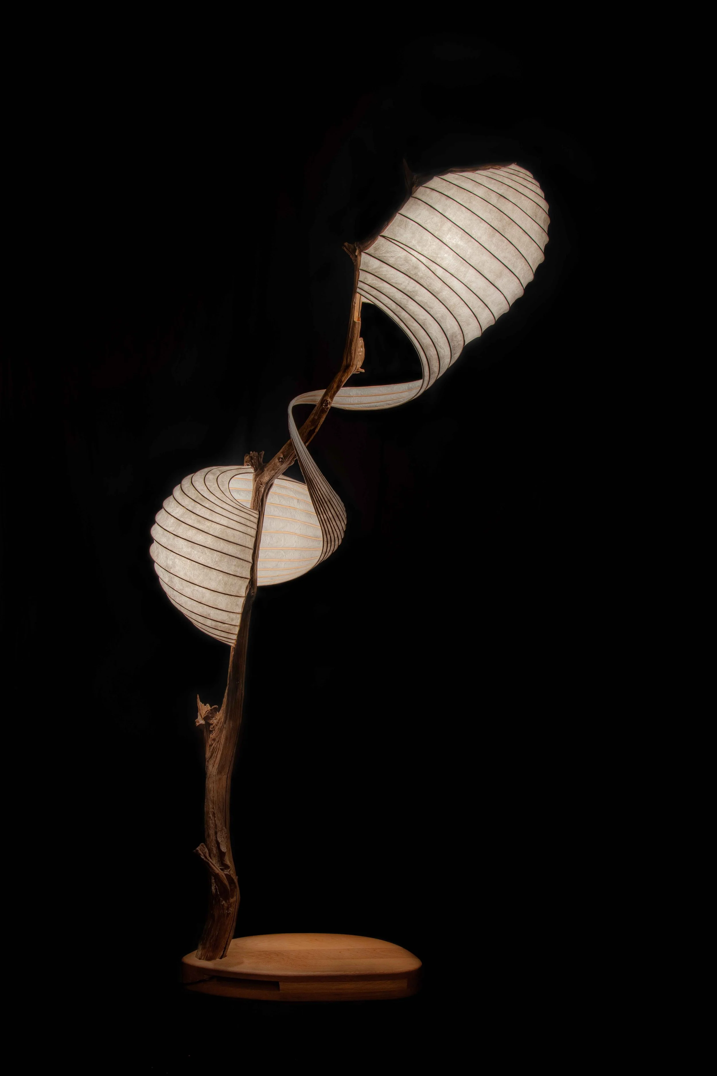 DSC_4574-HDR-2.jpg