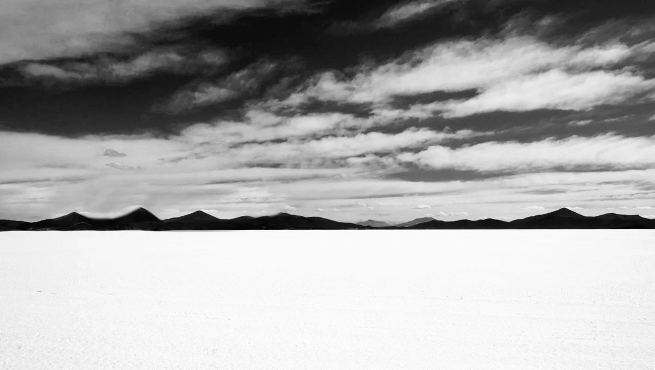 DSC04950 copy1 copy.jpg