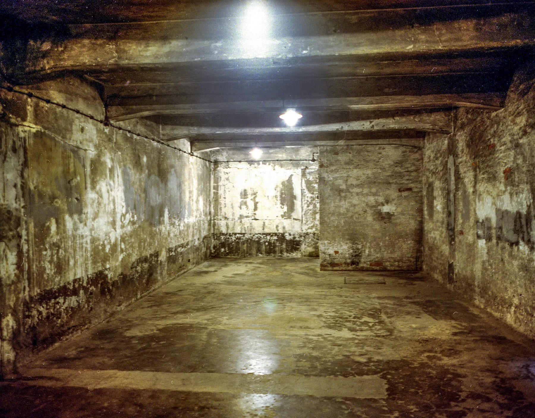 “At 6am, in our pajamas one rainy morning we were collected with 10,000 other Polish people, not Jews.
They put us in lines and began to walk us to a labor camp for Polish people. It was winter and very cold. My mother wore a flowered robe and I was 