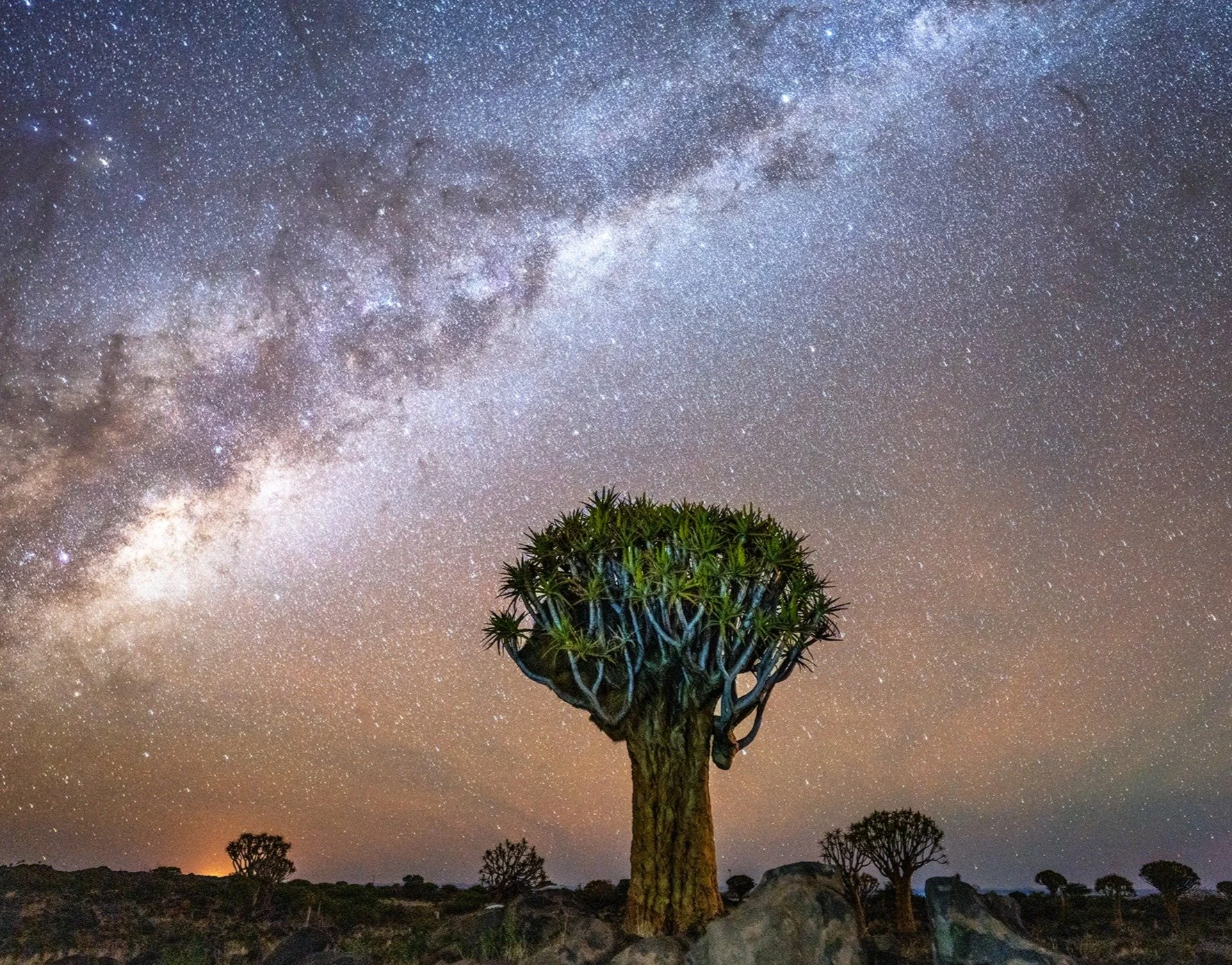 DSC01401 copykarenhaberberg copy_edited_edited_edited.jpg