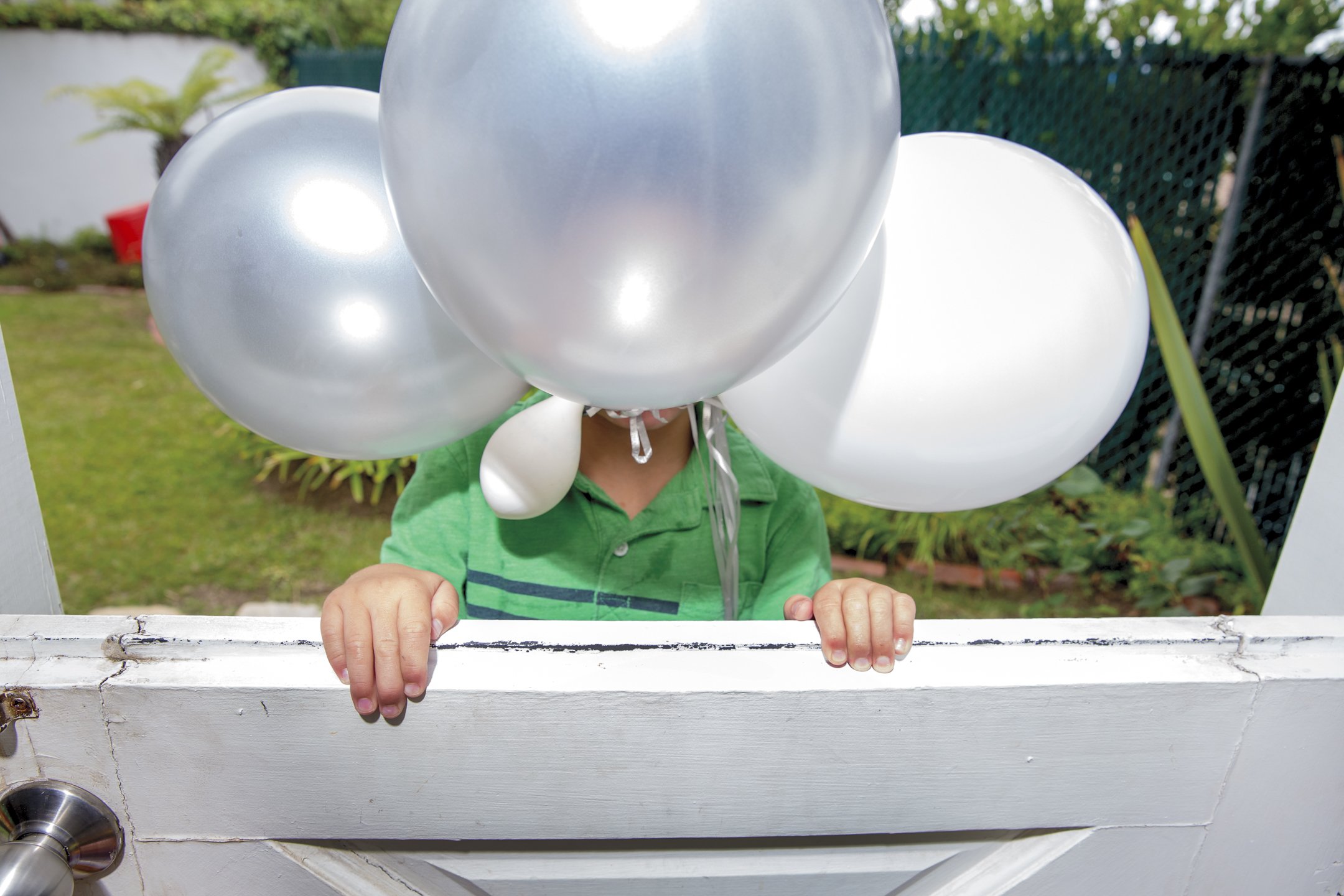 Child holding a bunch of silver and white balloons in front of their face, peeking over a white wooden gate in a garden.