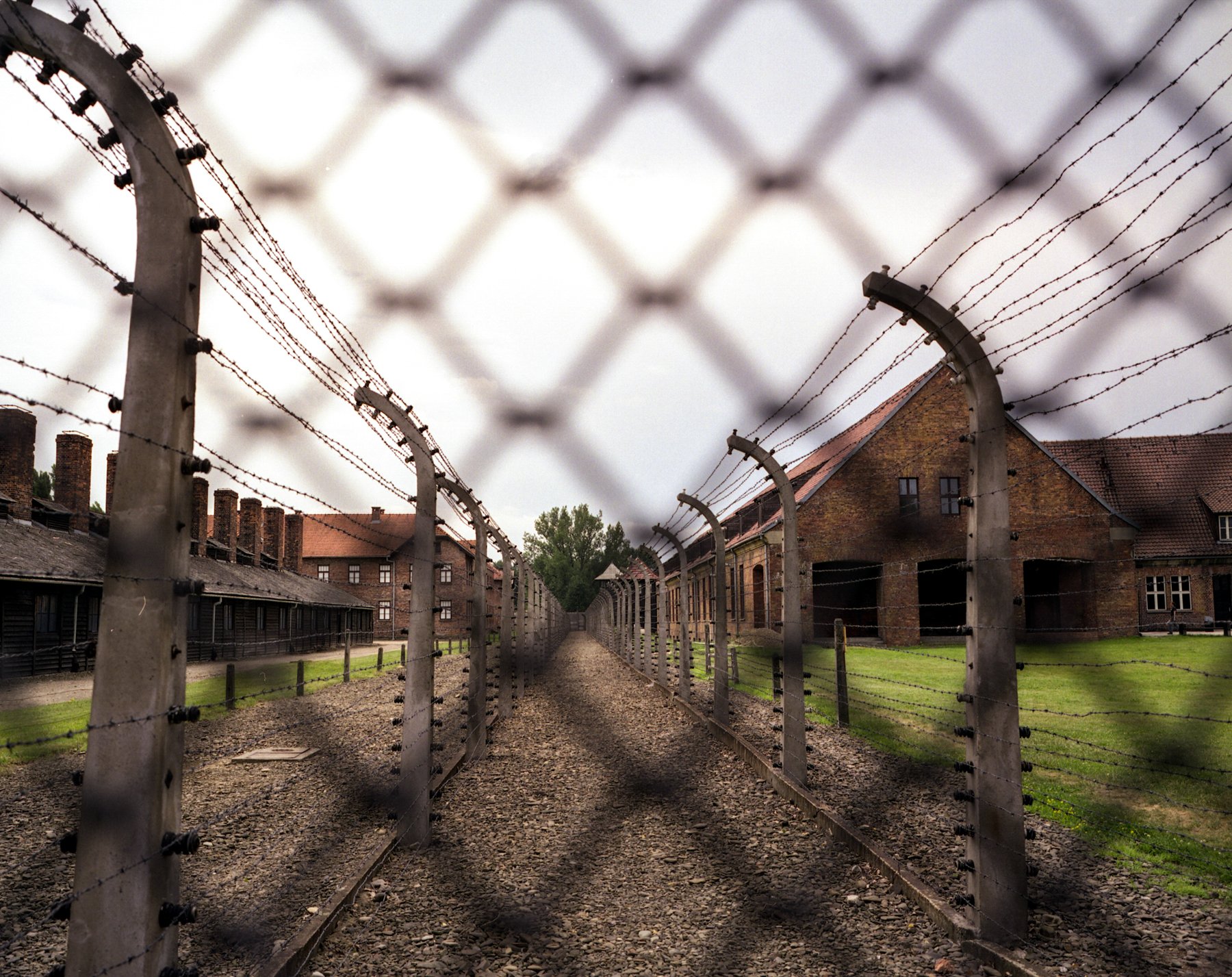 "According to some rumors, my father was killed trying to escape Majdonek concentration camp. The year I turned 80 I found documentation the he did die there."