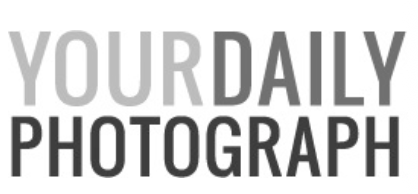 Text reading "YOUR DAILY PHOTOGRAPH" in large bold letters, with "YOUR" and "DAILY" in gray, and "PHOTOGRAPH" in black.