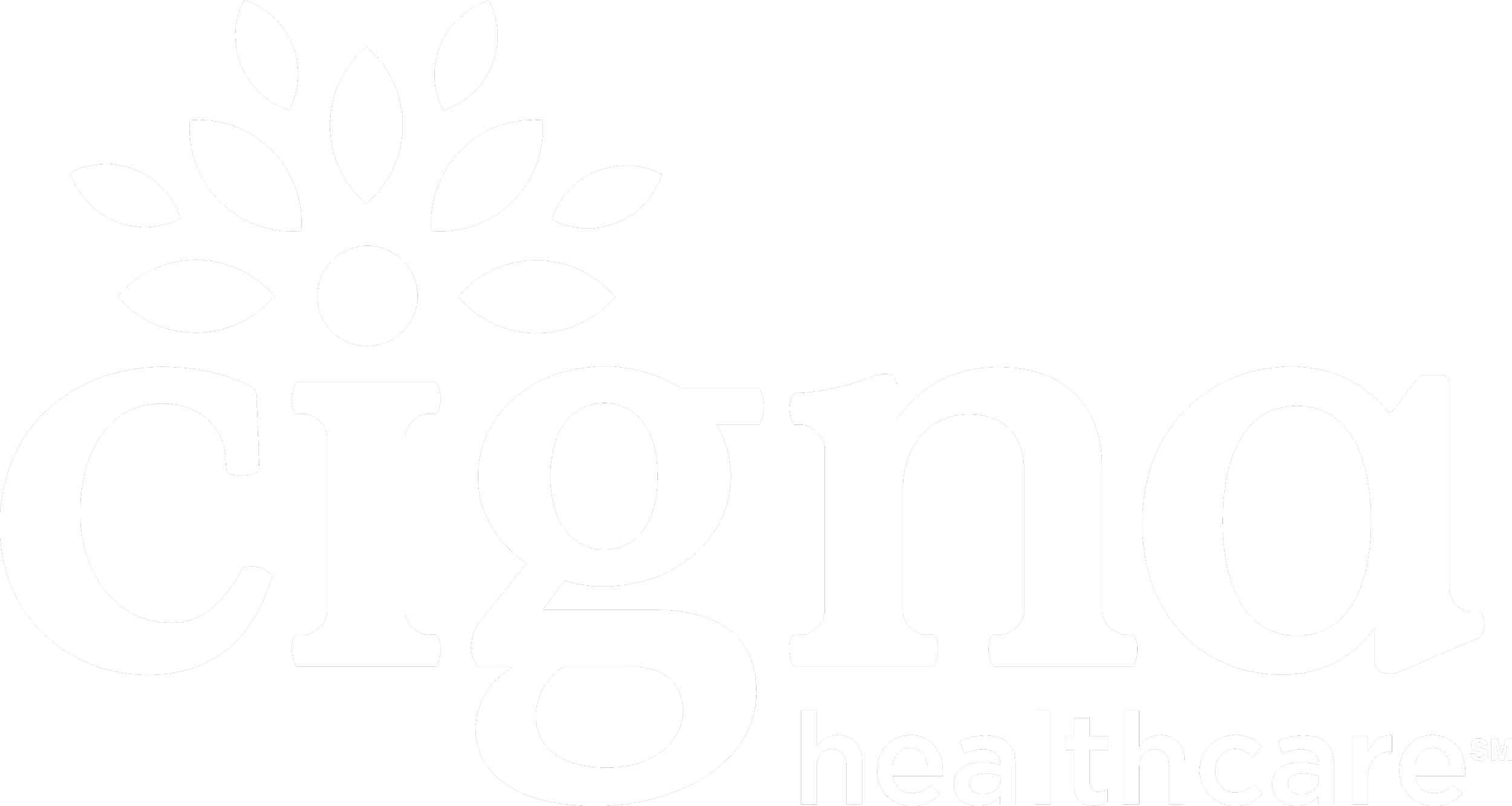 Chiro healthcare logo with stylized flower above the text.